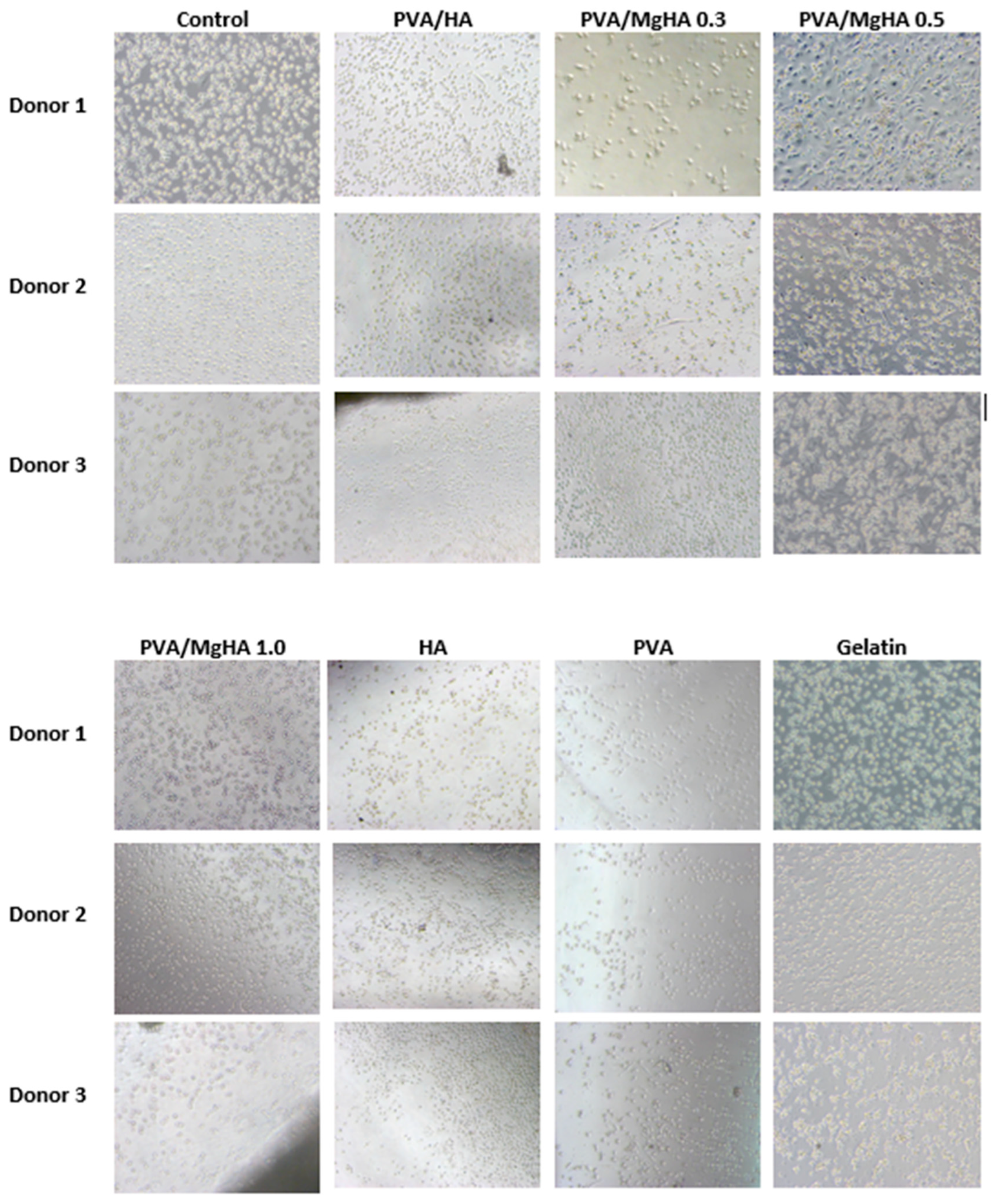 Jcs 09 00614 g007 Jcs 09 00614 g007