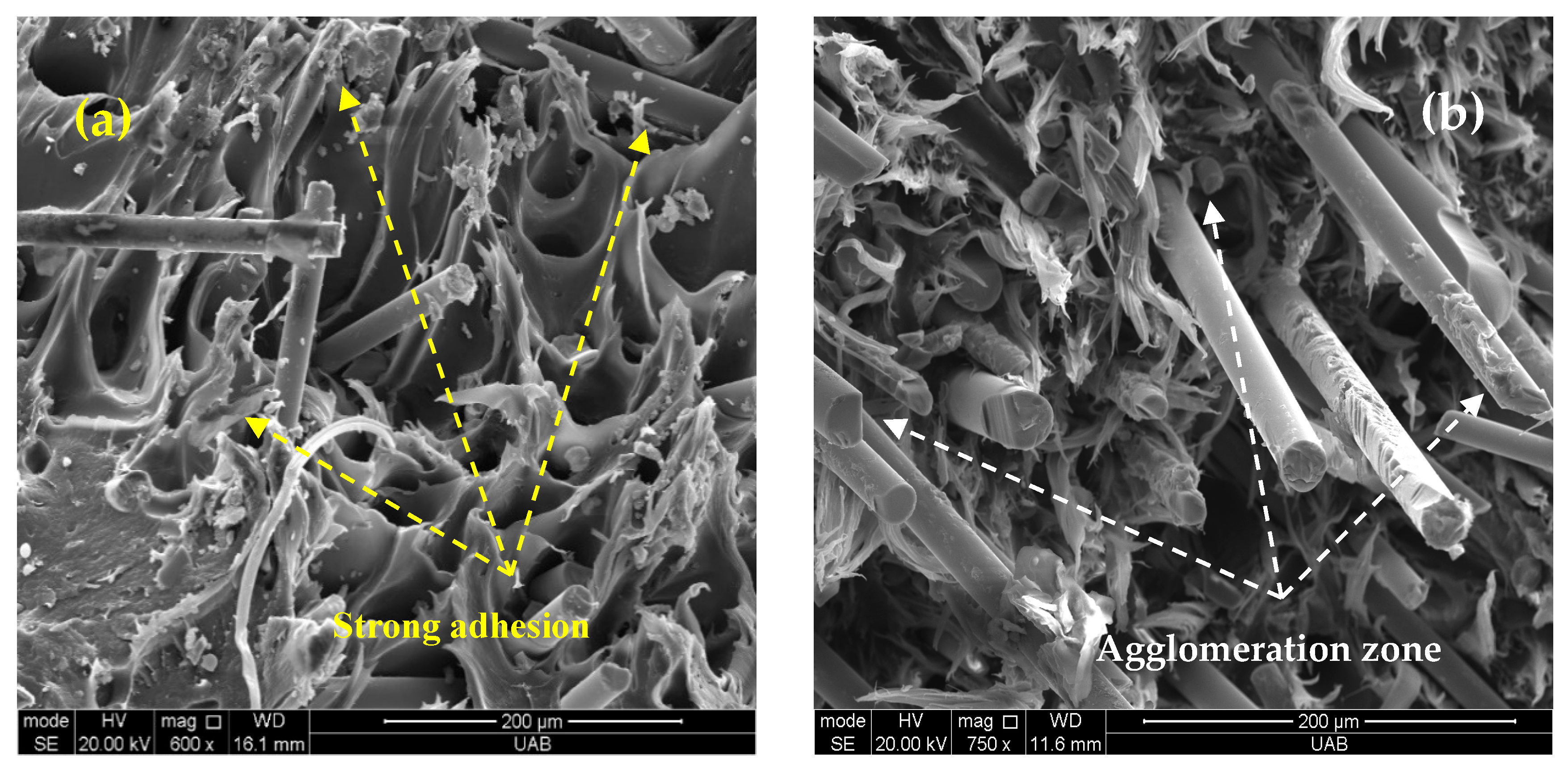 Jcs 09 00641 g015 Jcs 09 00641 g015