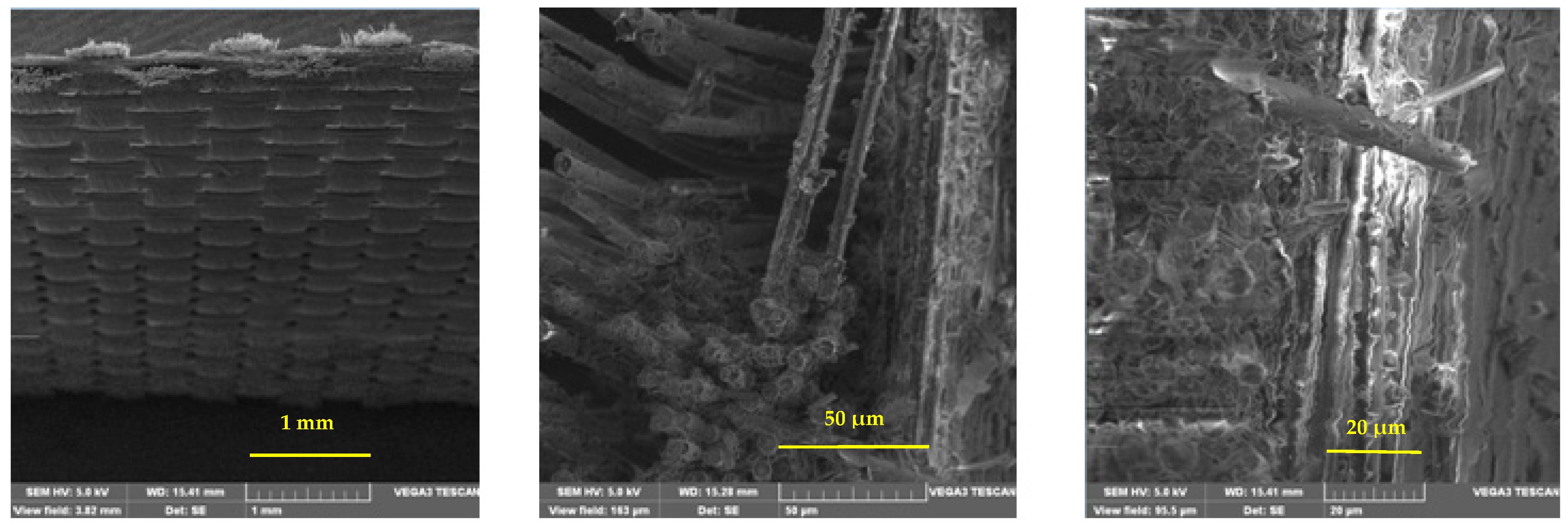 Jcs 09 00651 g015 Jcs 09 00651 g015