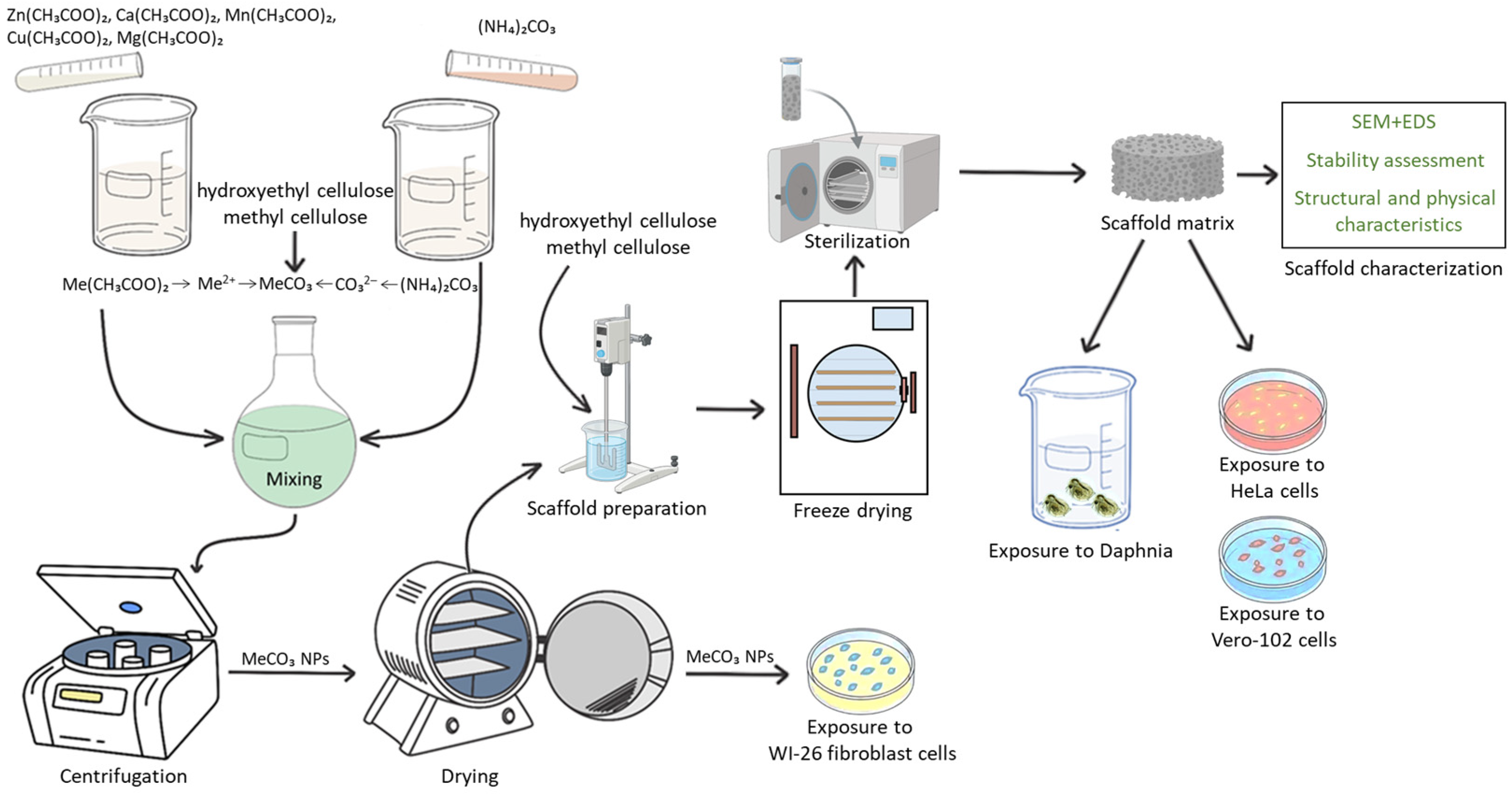 Jcs 09 00655 g001 Jcs 09 00655 g001