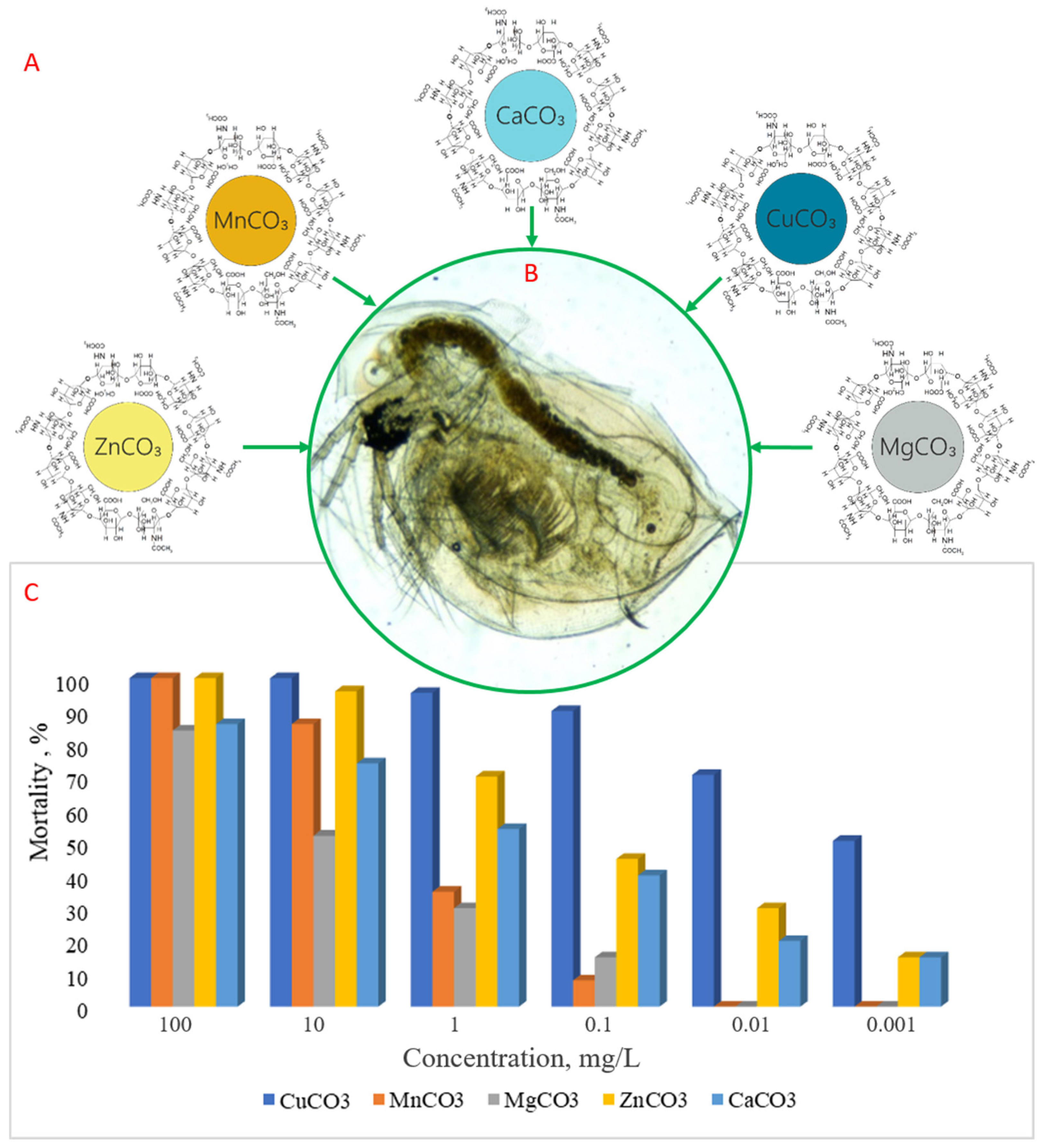 Jcs 09 00655 g003 Jcs 09 00655 g003