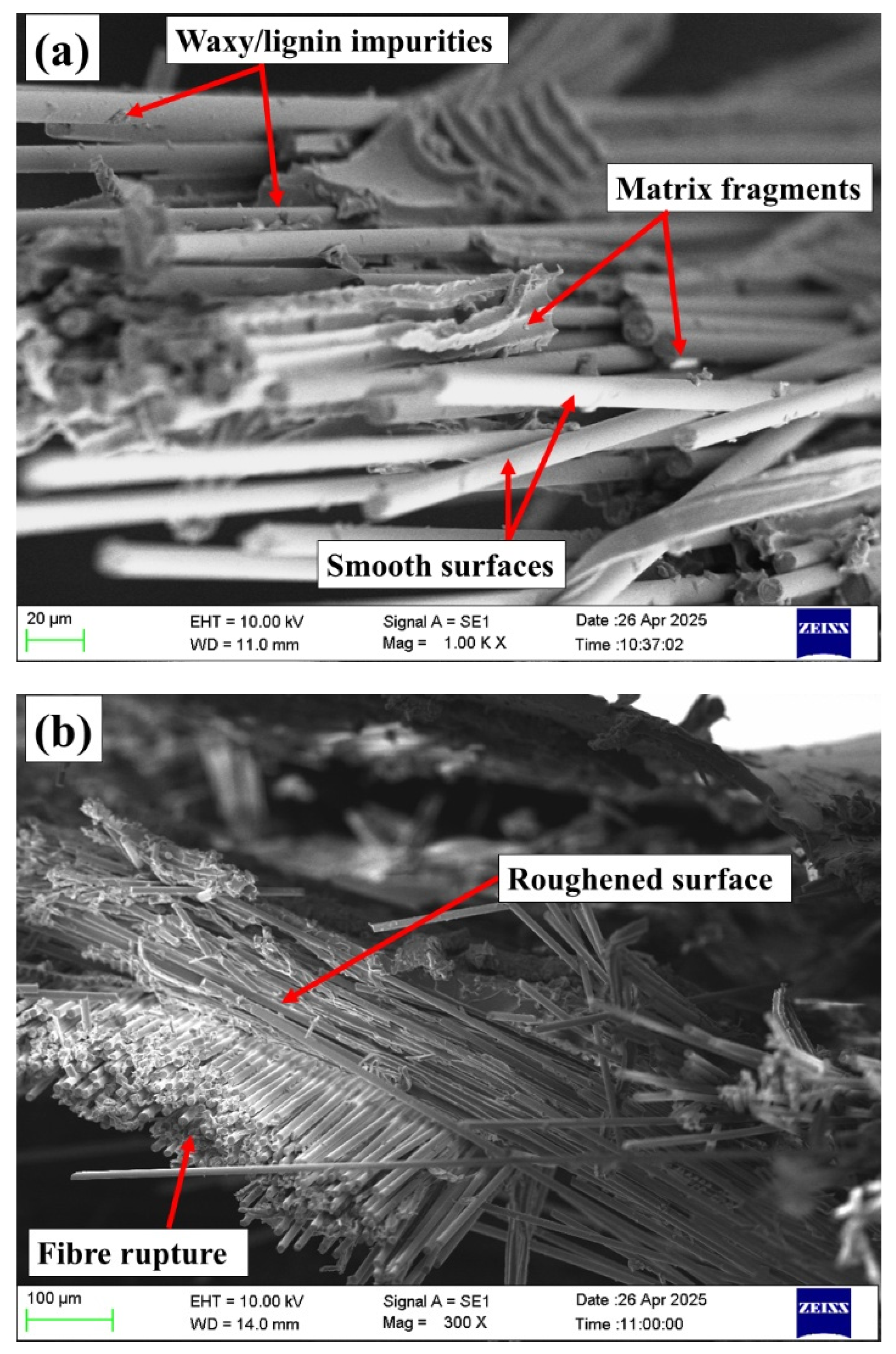 Jcs 09 00661 g012a Jcs 09 00661 g012a