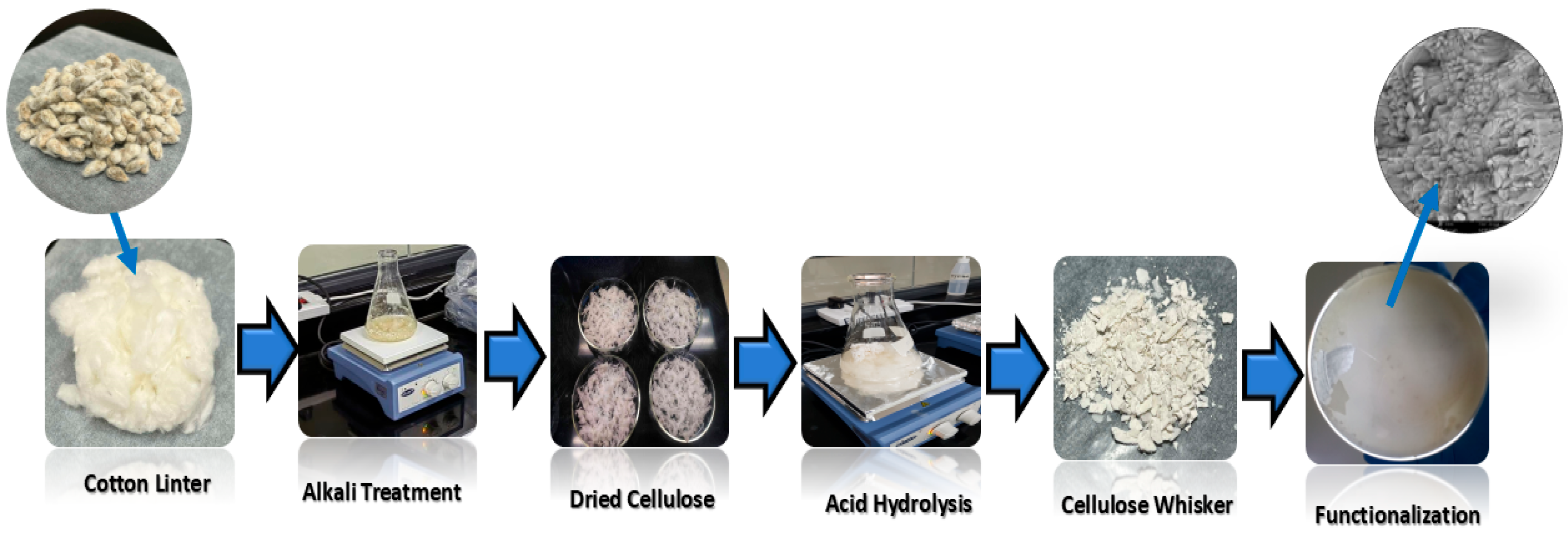 Jcs 09 00670 g002 Jcs 09 00670 g002