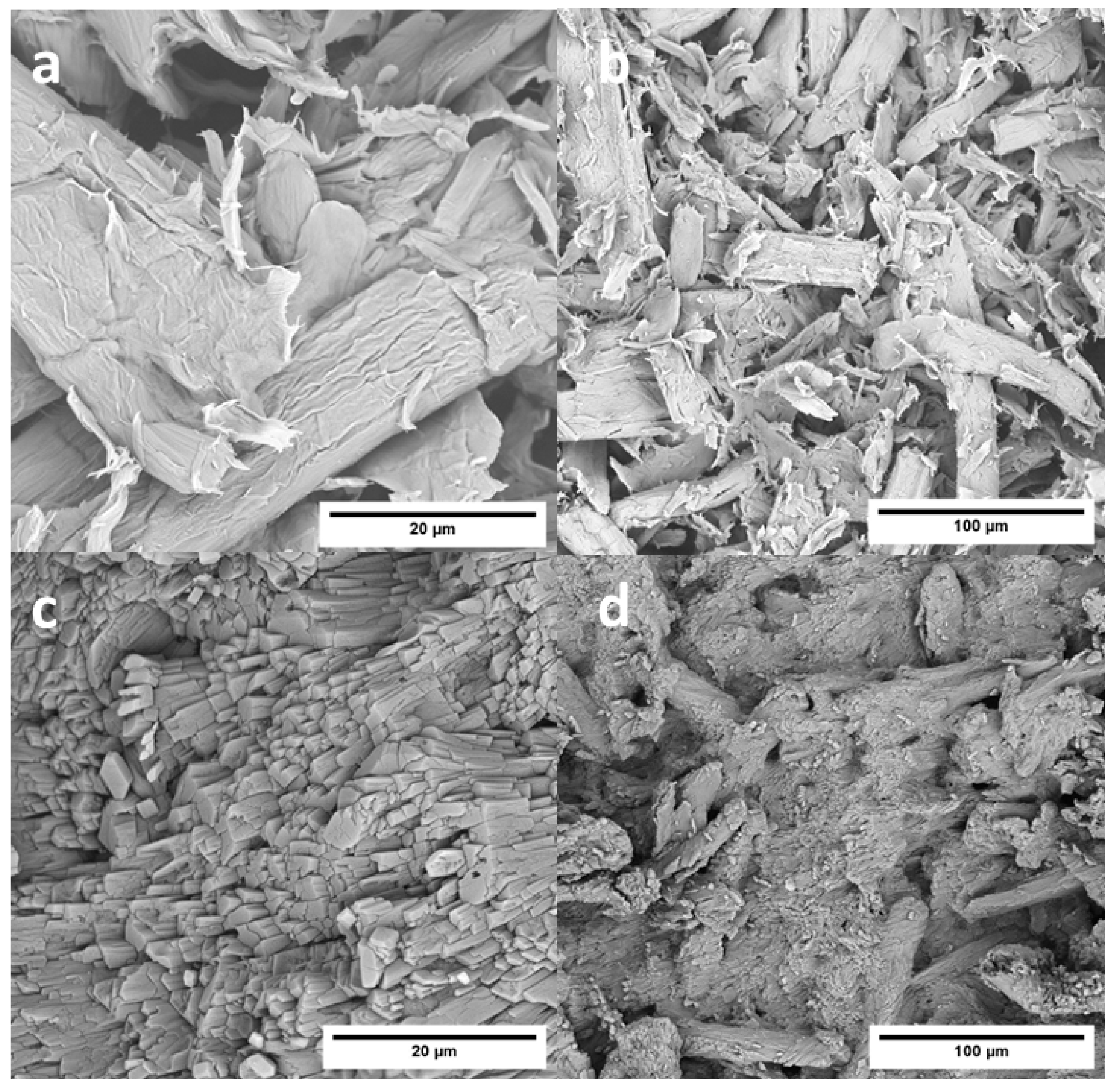 Jcs 09 00670 g013 Jcs 09 00670 g013