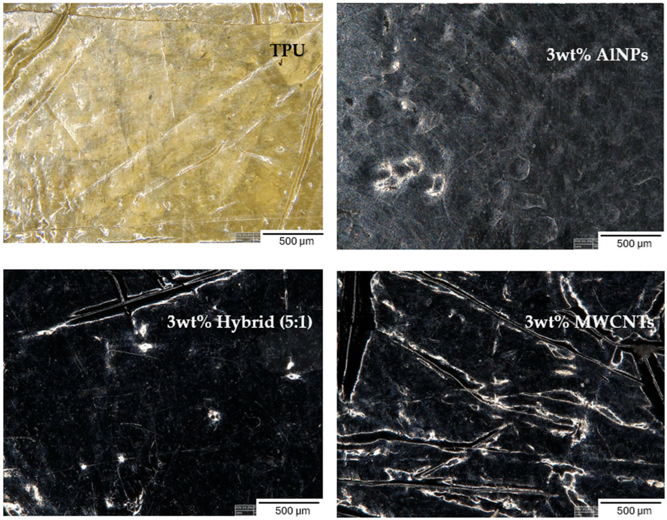 Jcs 09 00681 g003 Jcs 09 00681 g003