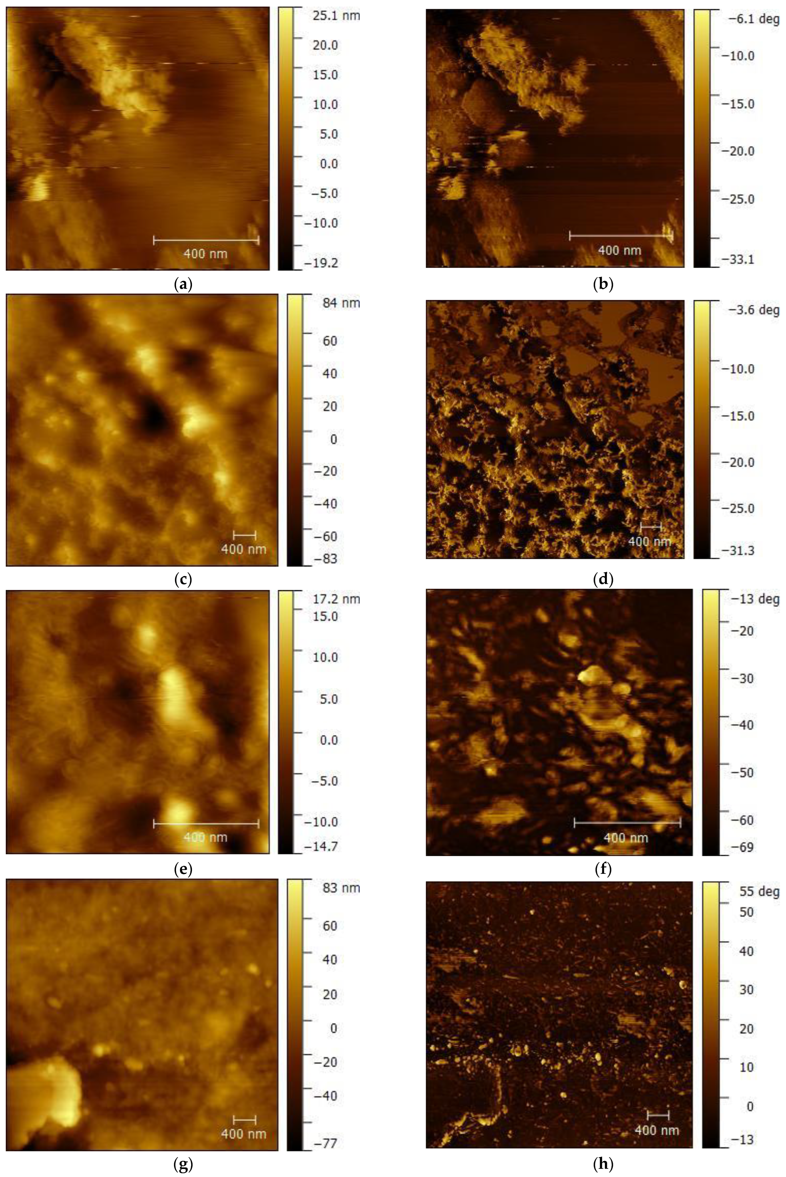 Jcs 09 00681 g013 Jcs 09 00681 g013