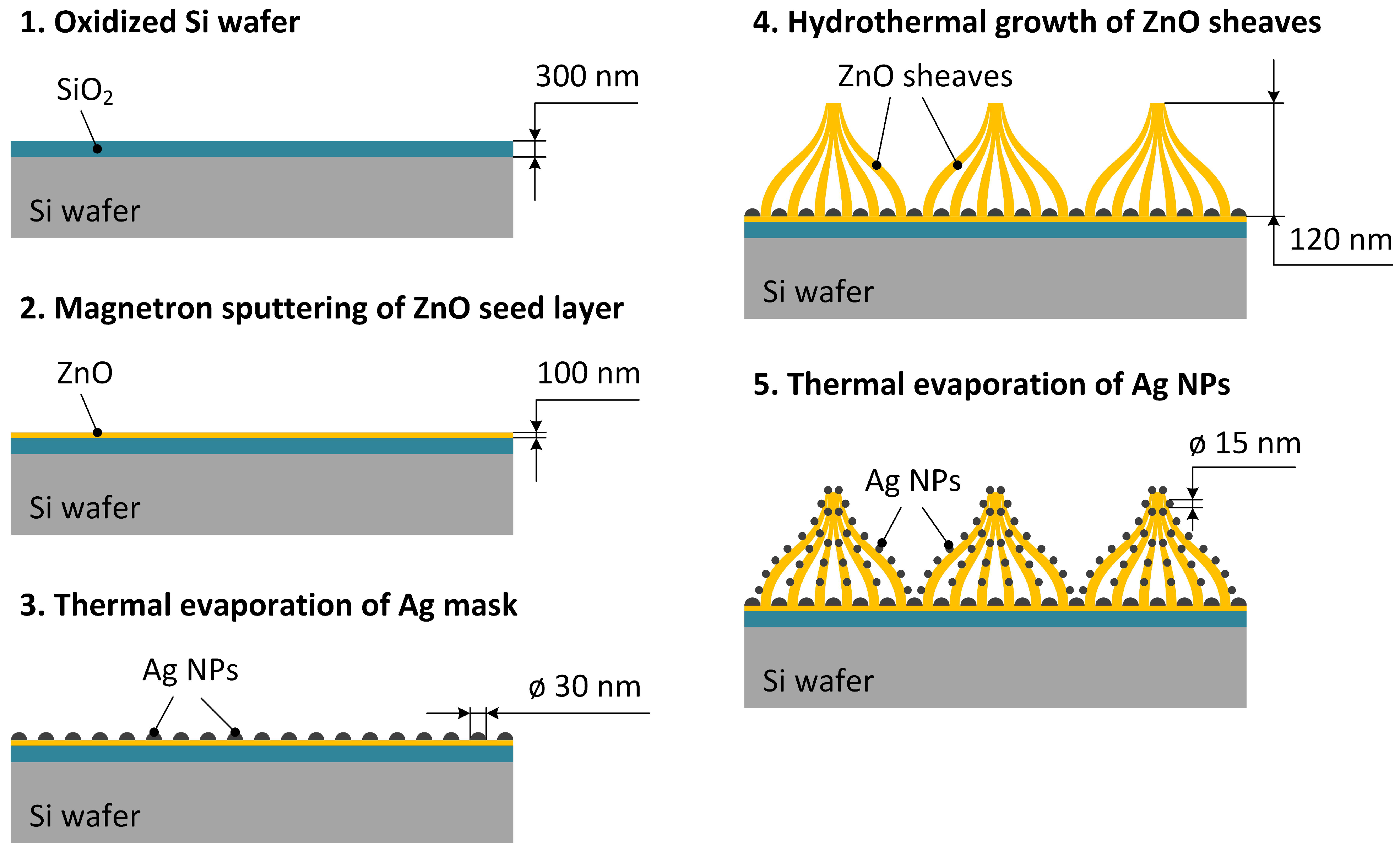 Jcs 09 00686 g001 Jcs 09 00686 g001