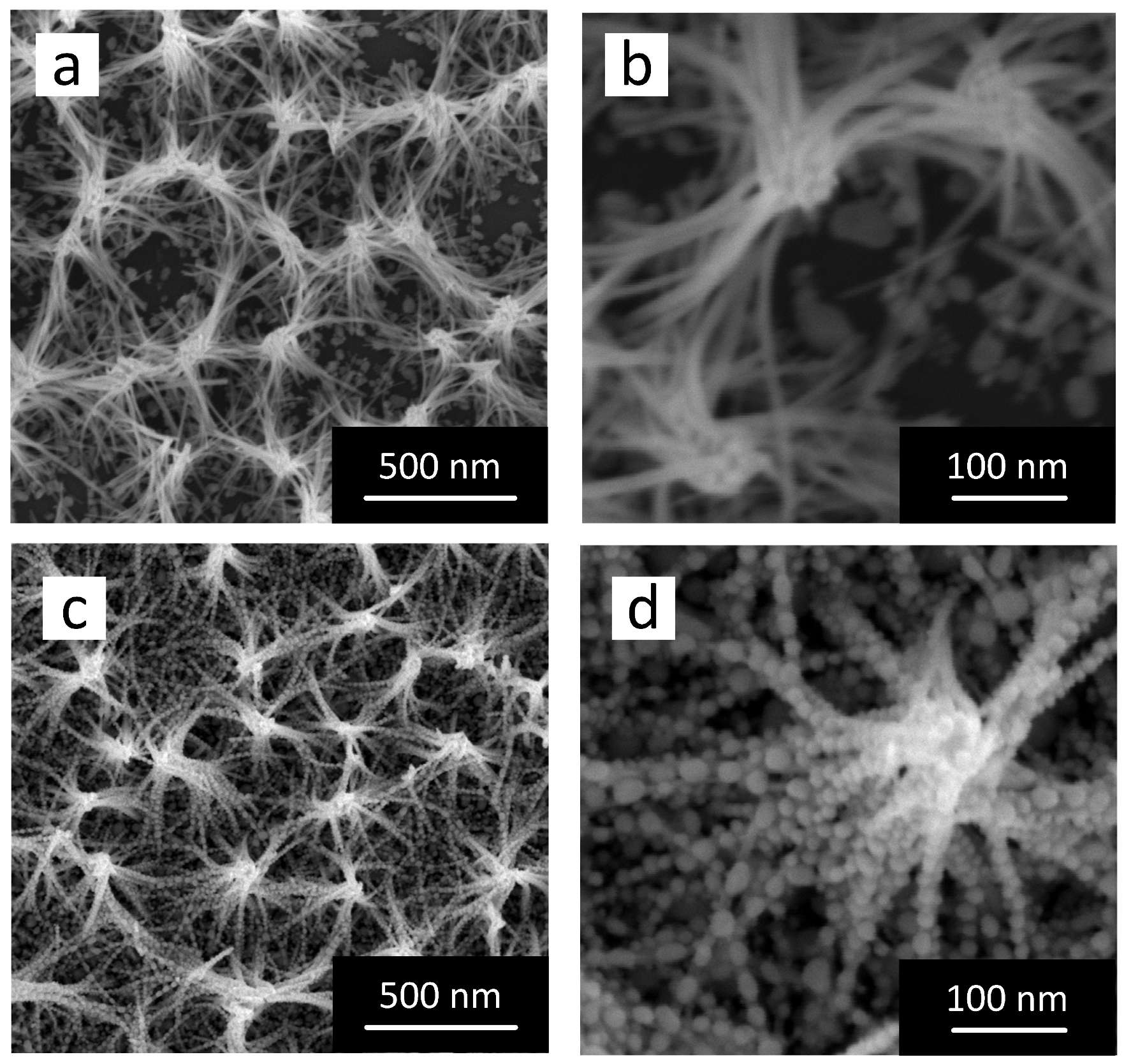 Jcs 09 00686 g002 Jcs 09 00686 g002