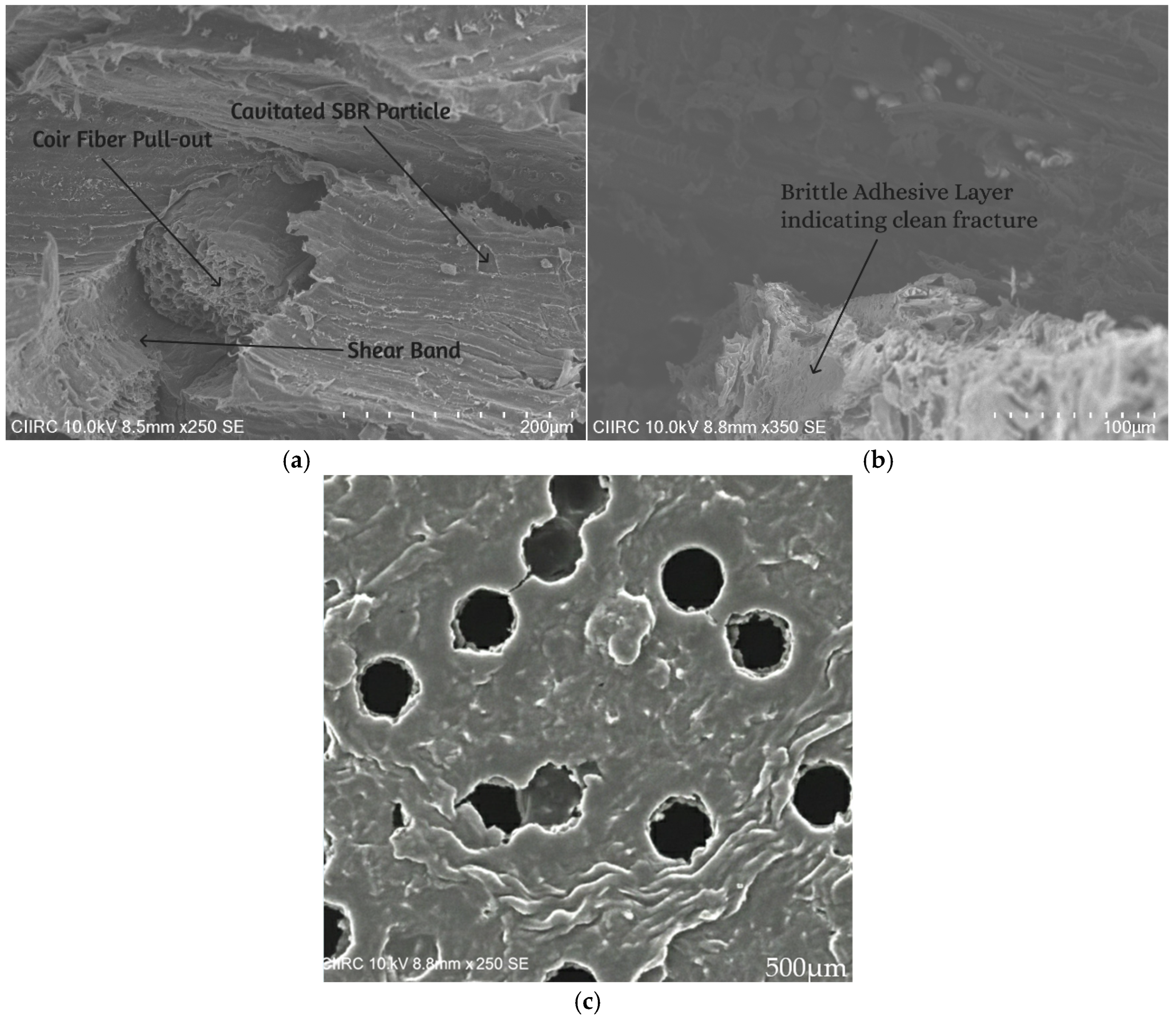 Jcs 09 00704 g010 Jcs 09 00704 g010