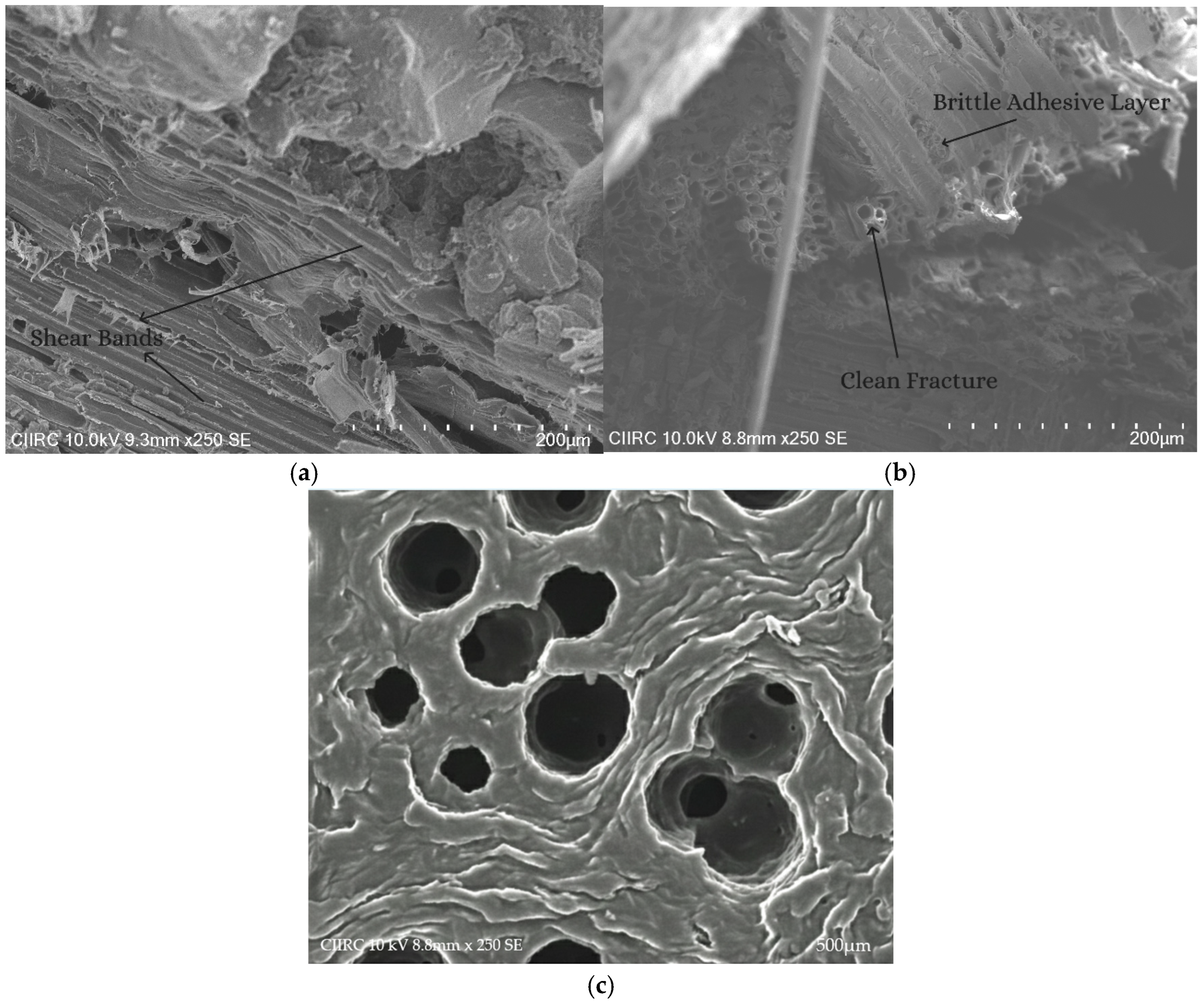 Jcs 09 00704 g011 Jcs 09 00704 g011