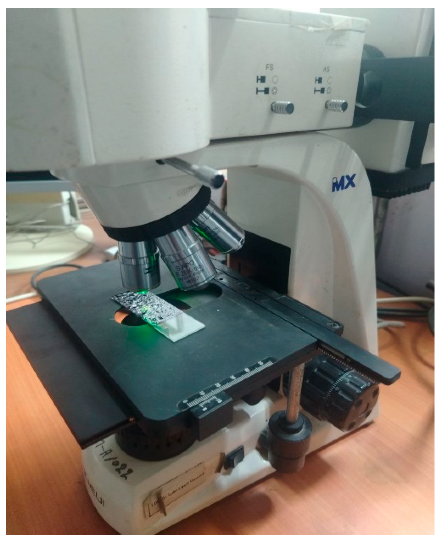 Jcs 10 00310 g005