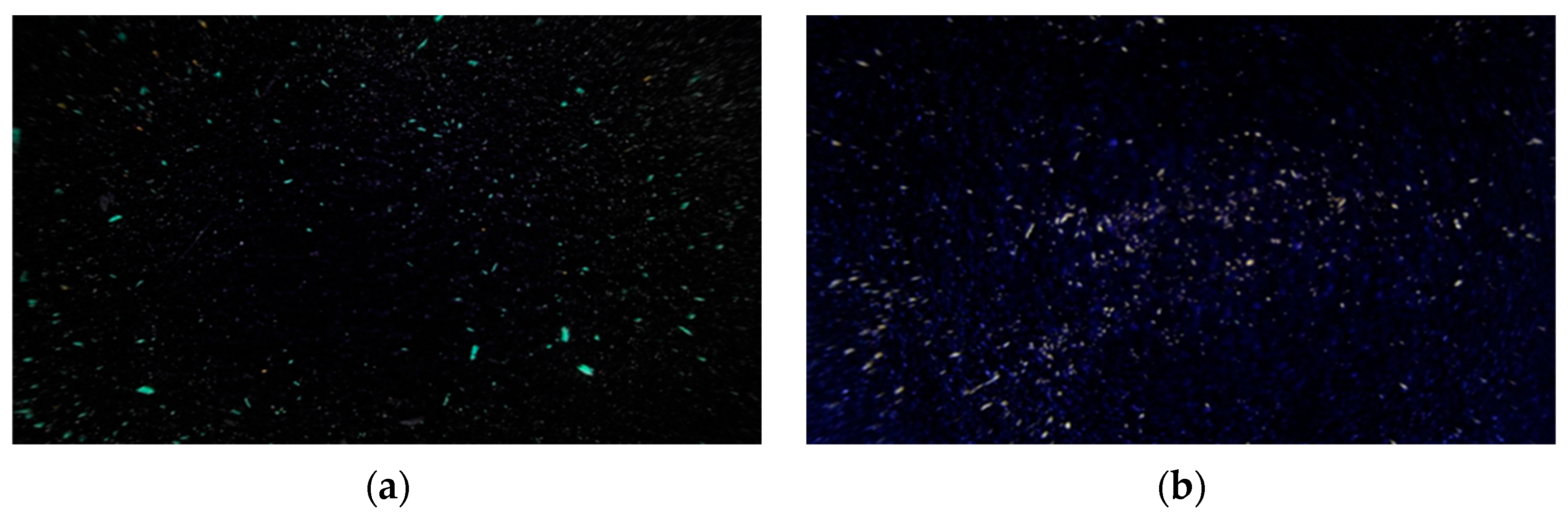 Jcs 10 00310 g011a