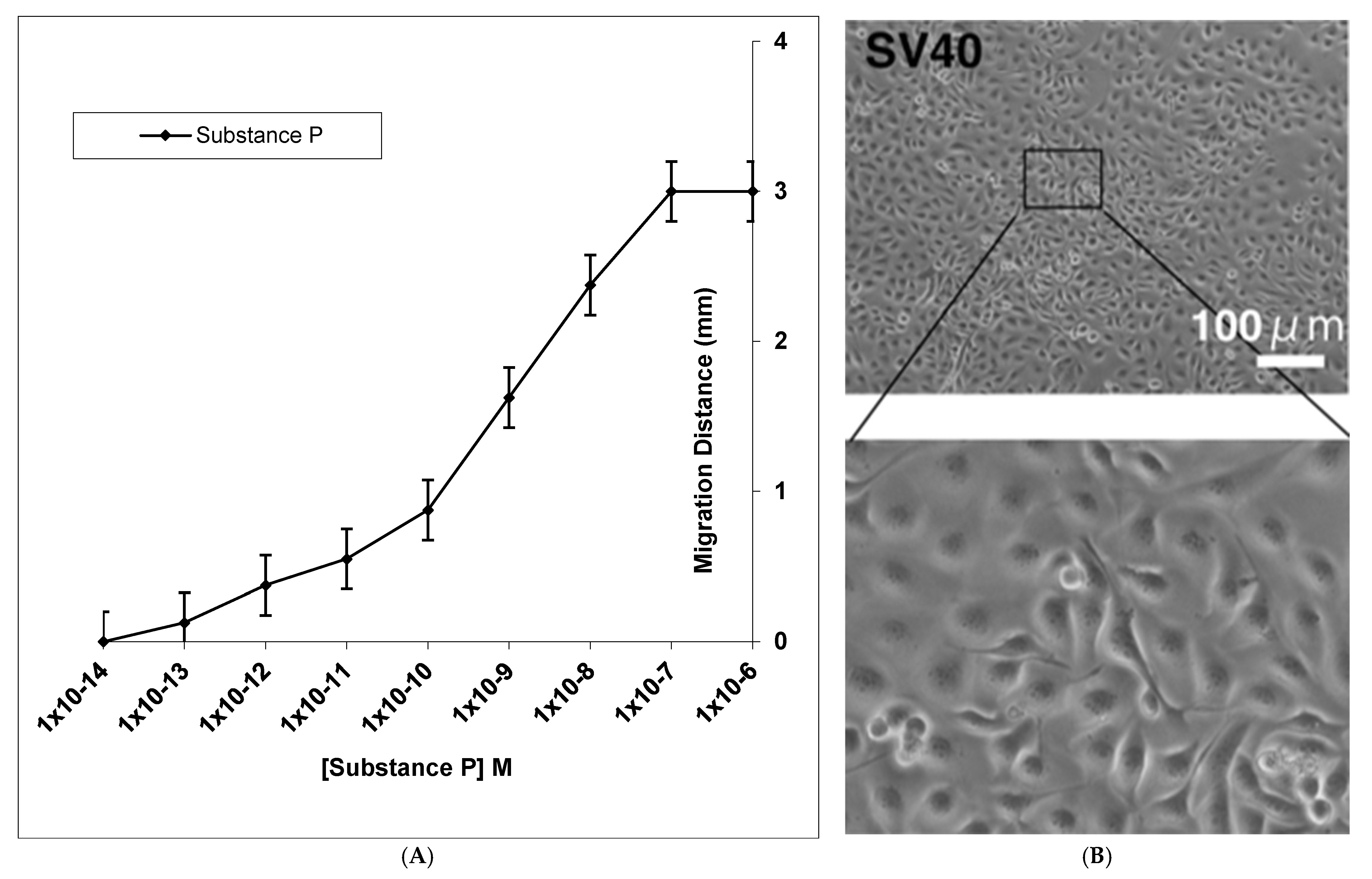 Jcto 01 00010 g002 Jcto 01 00010 g002
