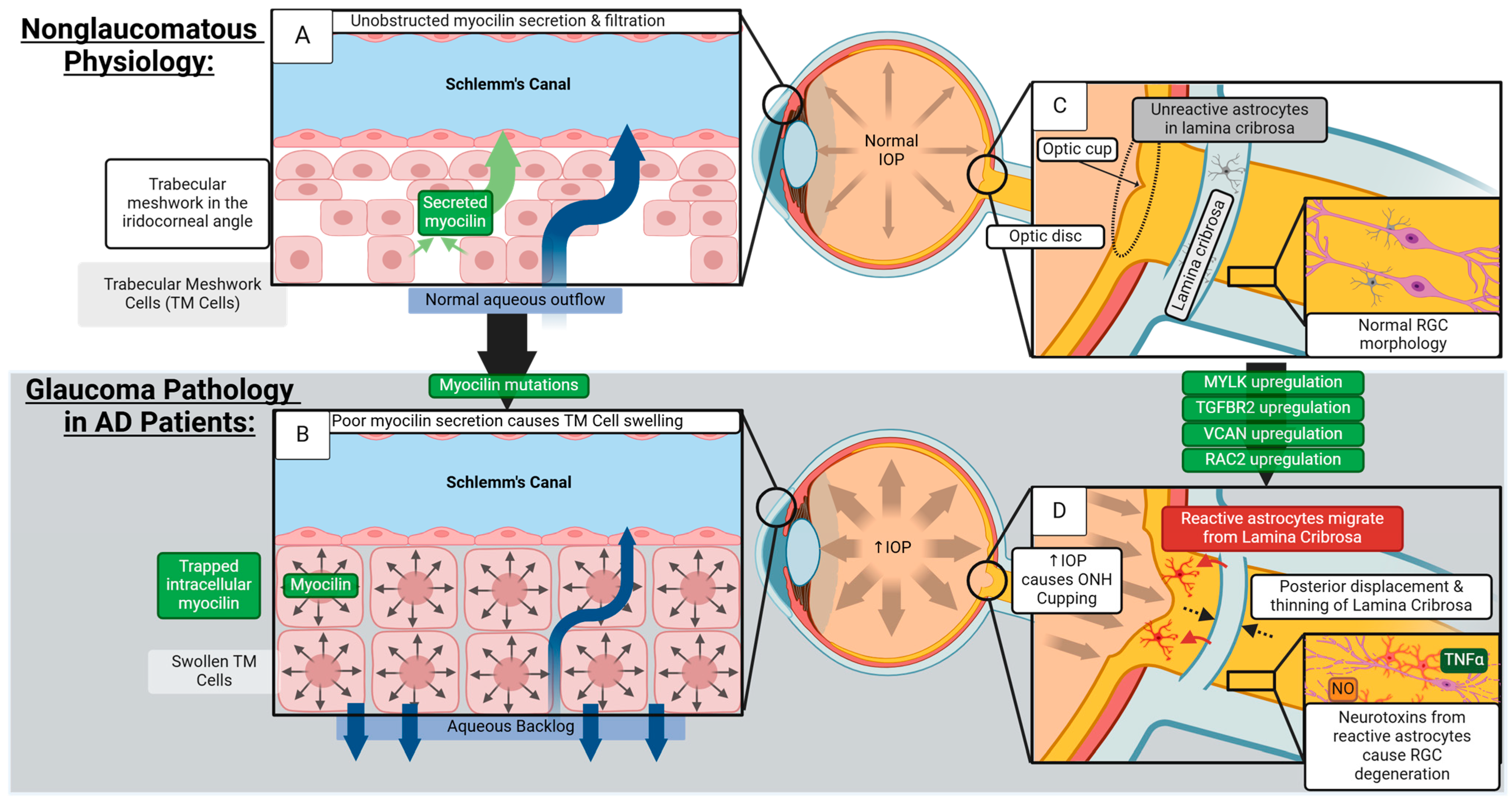 Jcto 02 00013 g001 Jcto 02 00013 g001