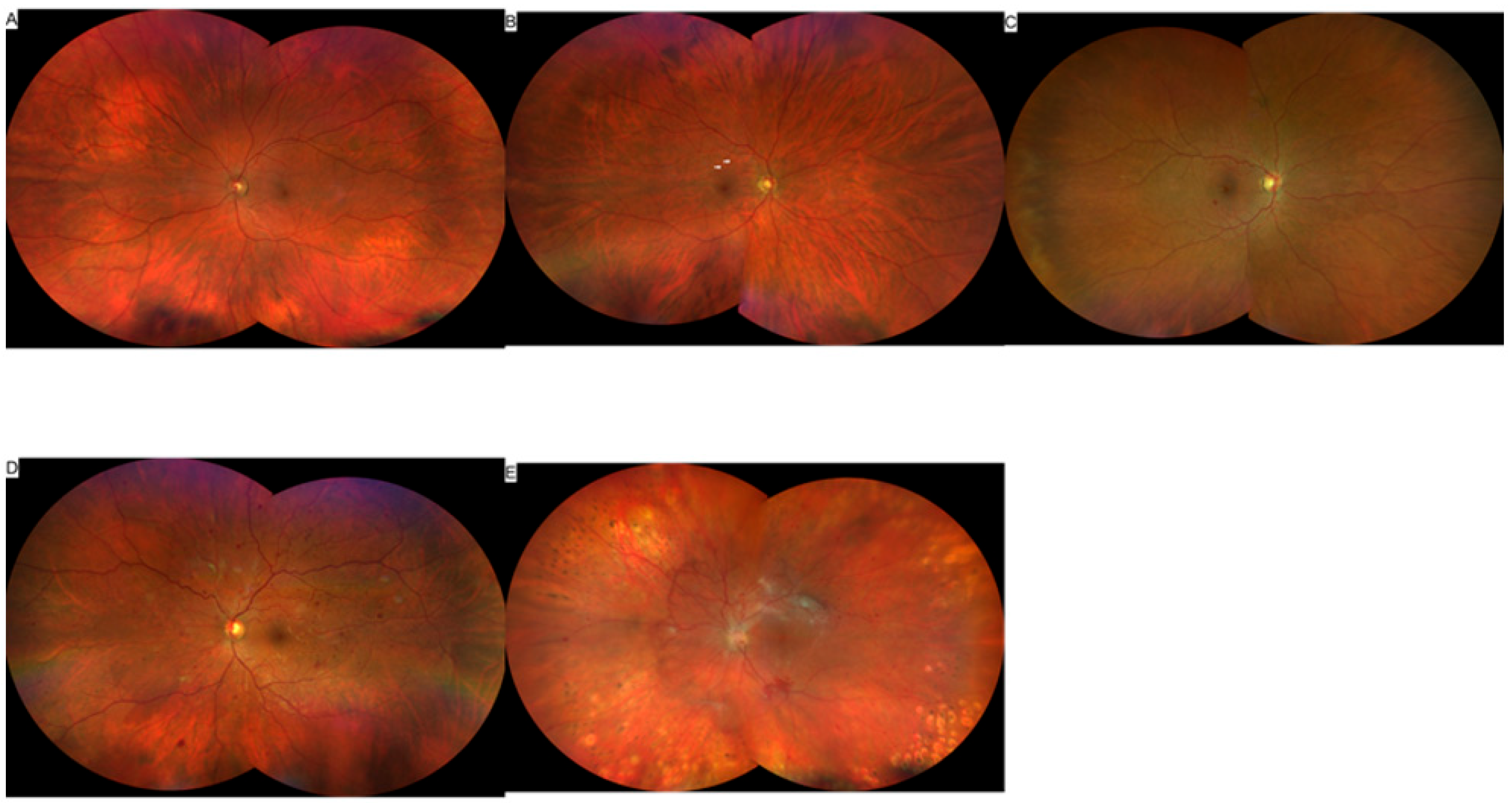 Jcto 03 00024 g001 Jcto 03 00024 g001