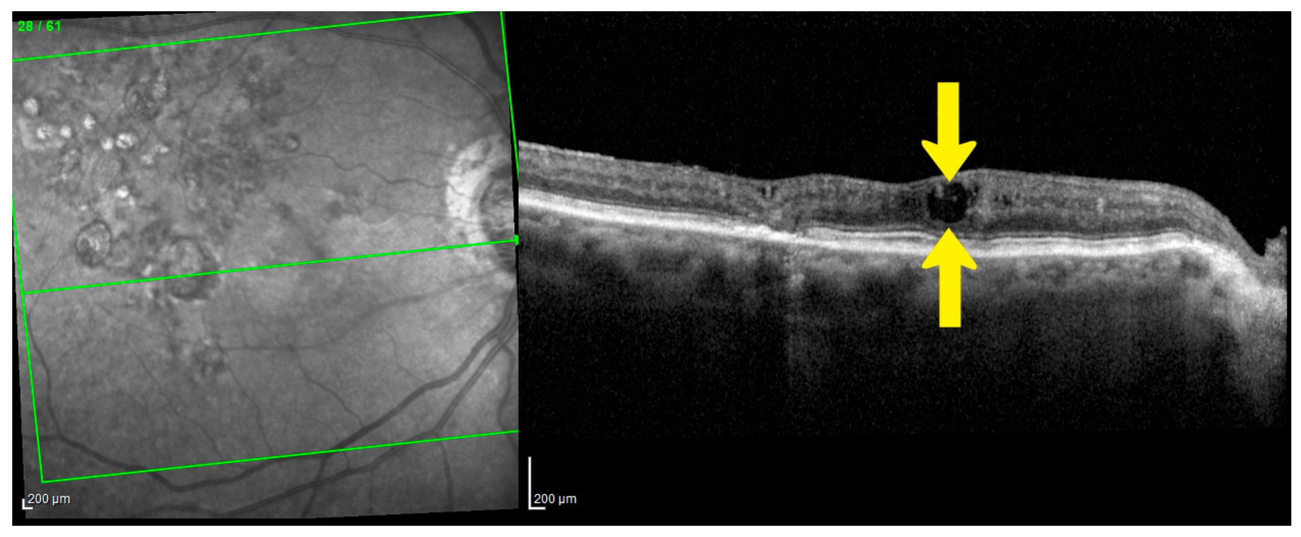 Jcto 03 00024 g003 Jcto 03 00024 g003