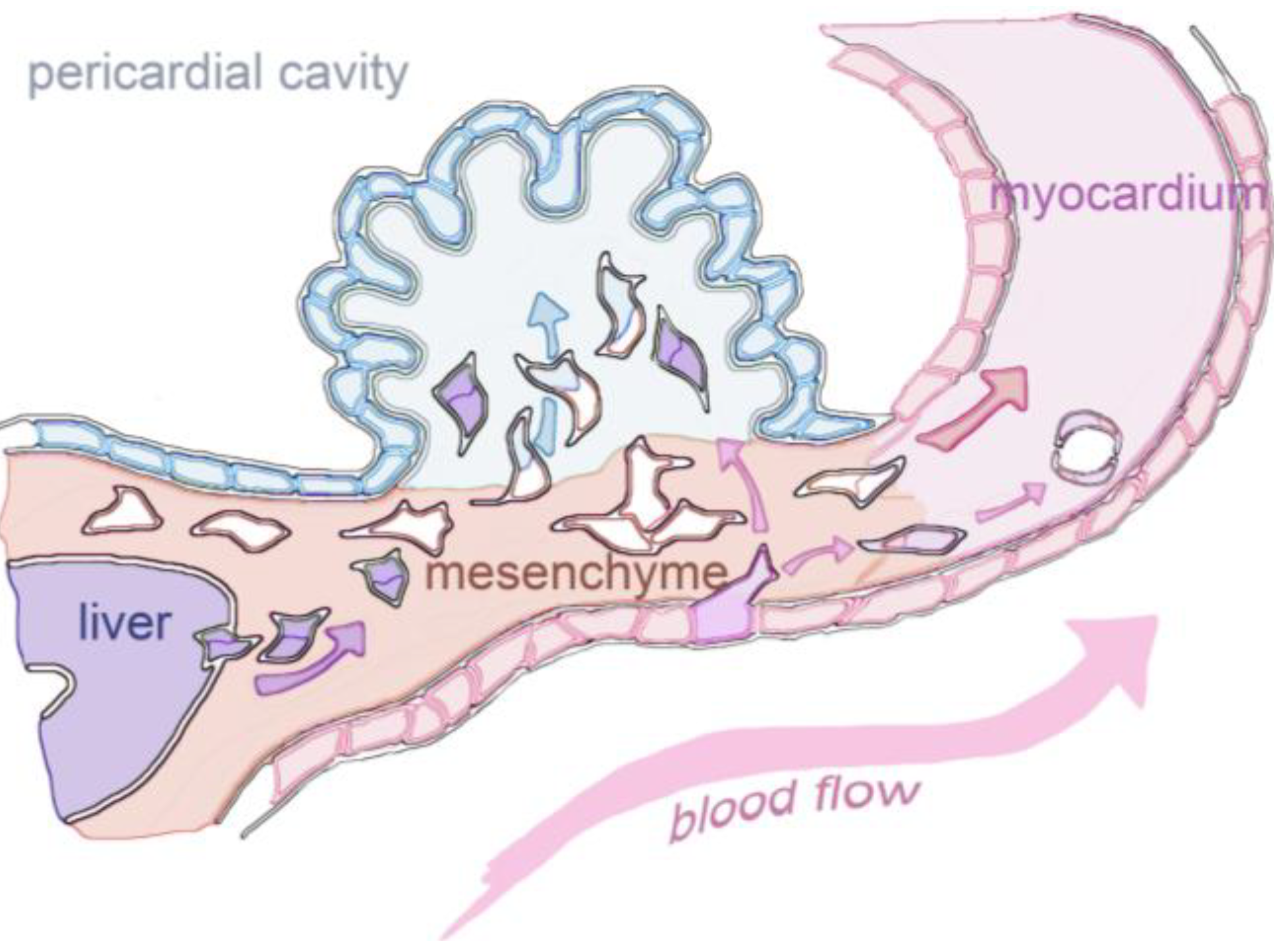 Jdb 01 00126 g002 1024