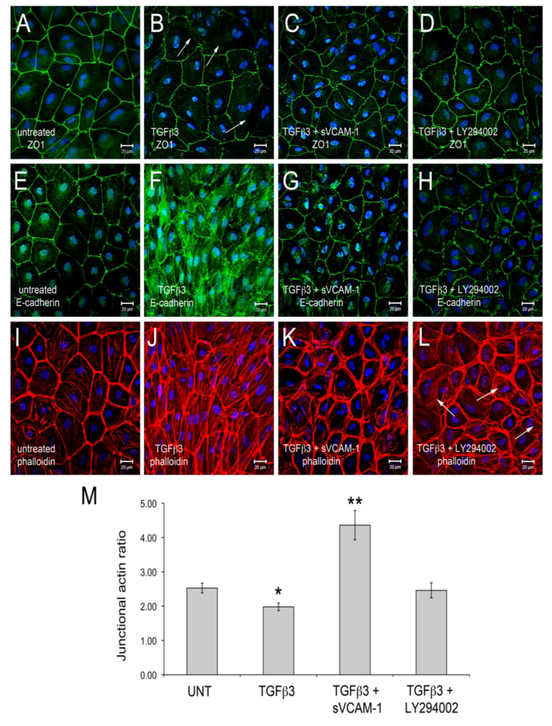 Jdb 01 00159 g001 1024