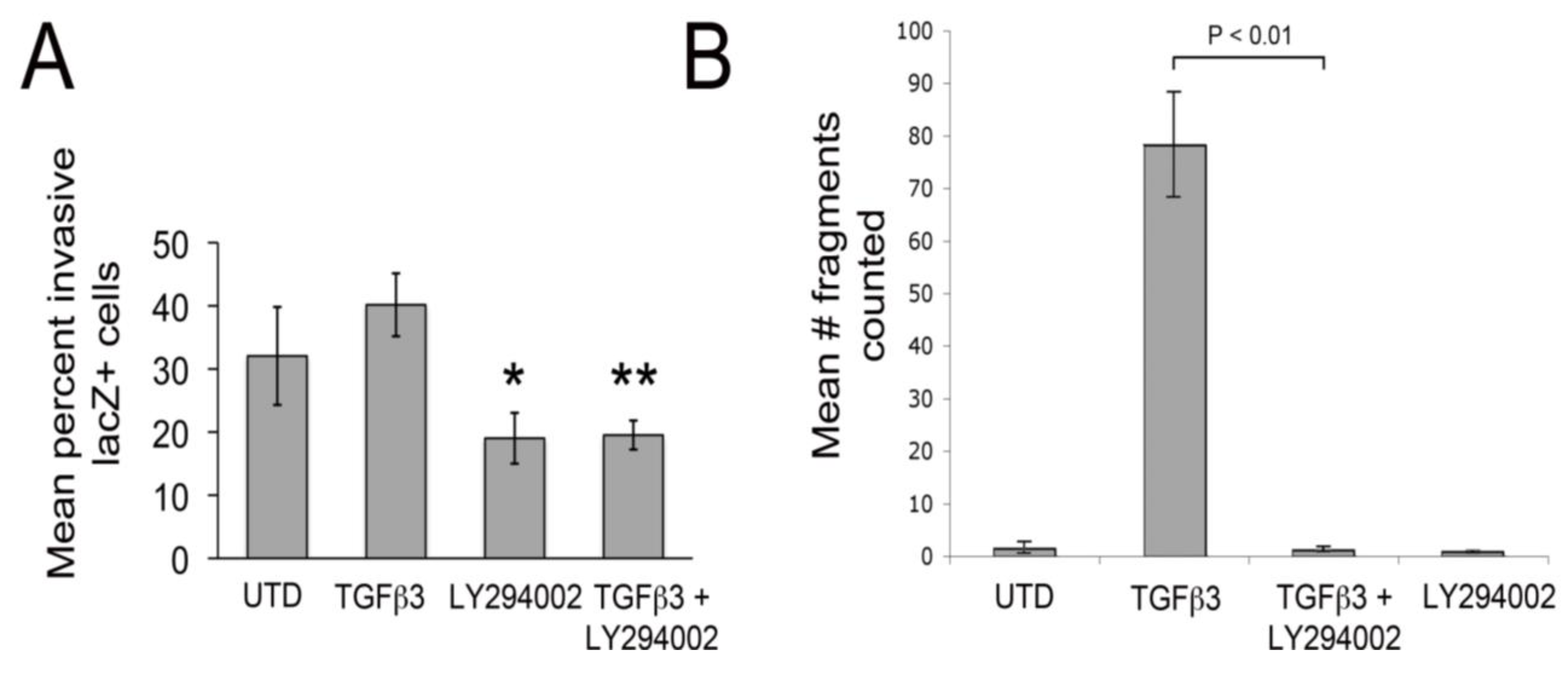 Jdb 01 00159 g002 1024