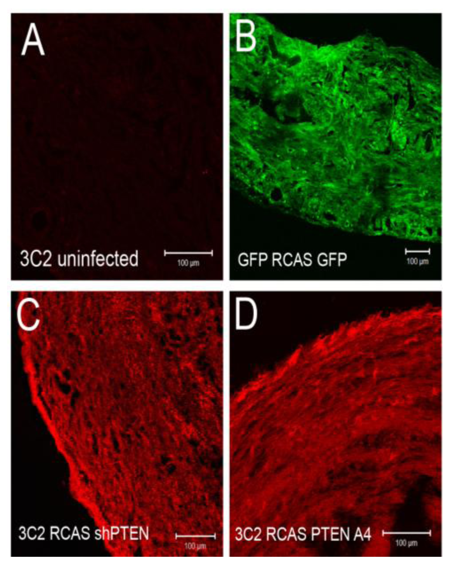 Jdb 01 00159 g009 1024