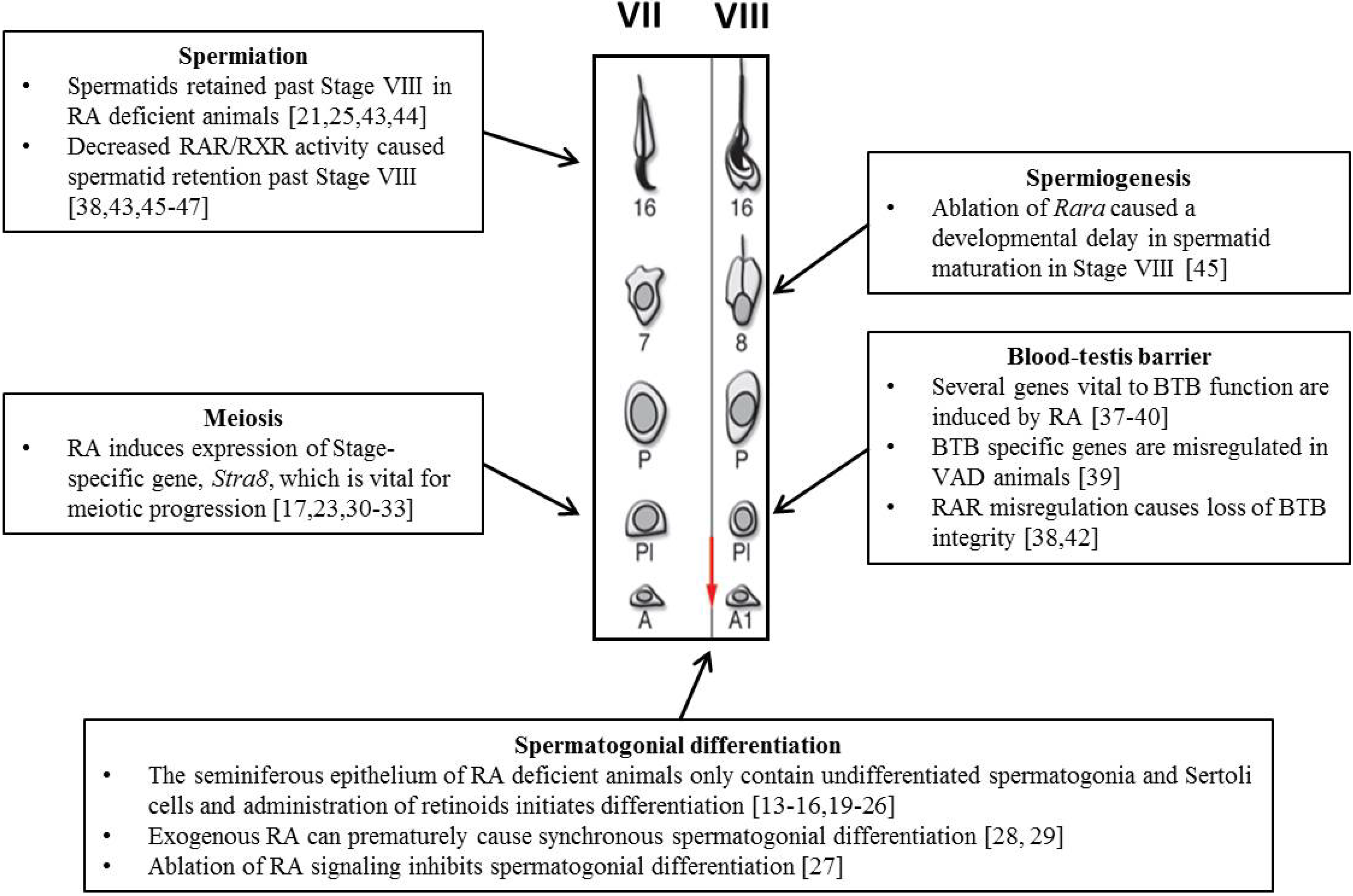 Jdb 02 00034 g003 1024