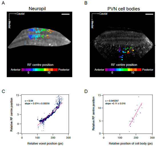 JDB Special Issue Zebrafish A Model System for Developmental