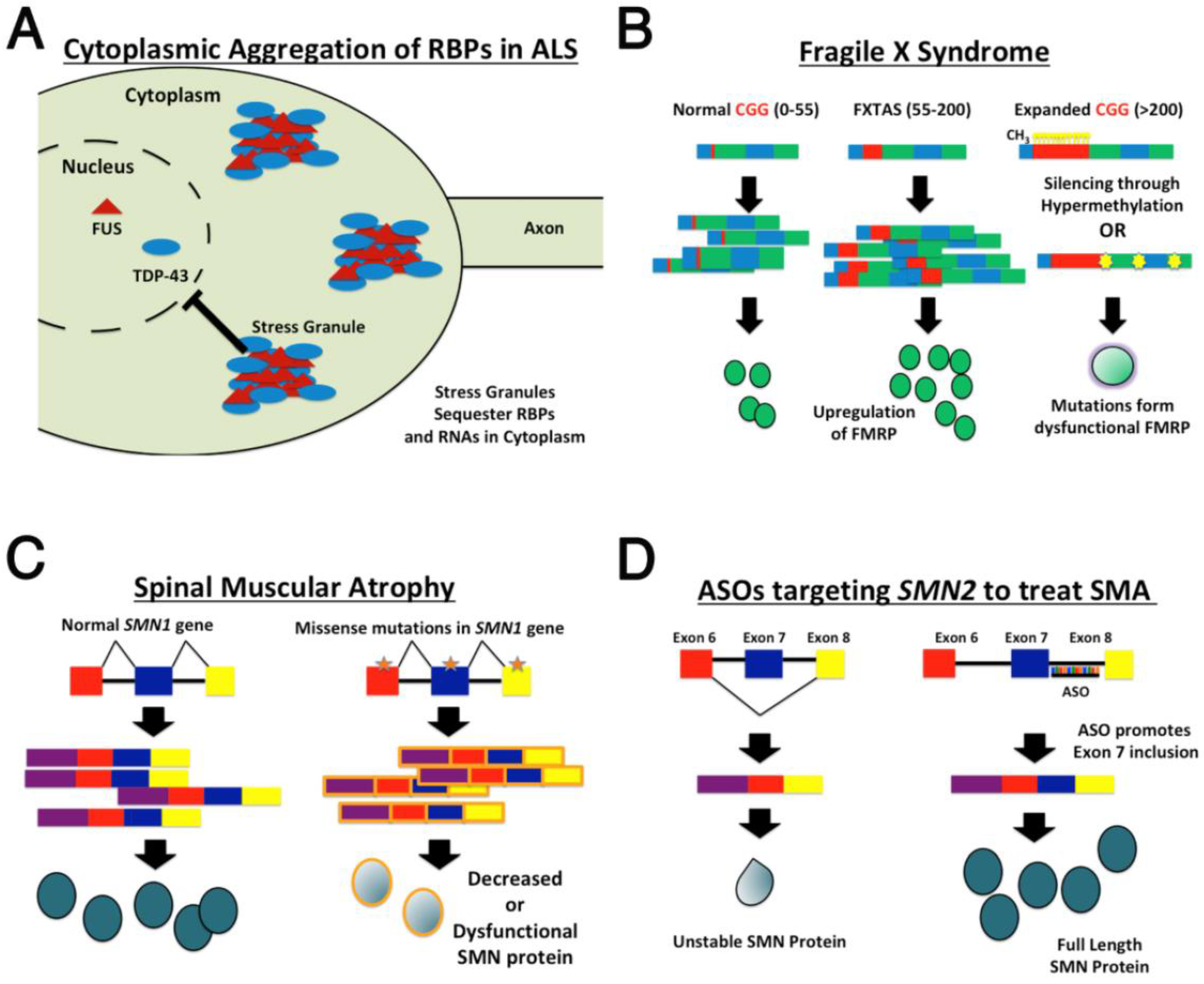 Jdb 06 00021 g001 Jdb 06 00021 g001