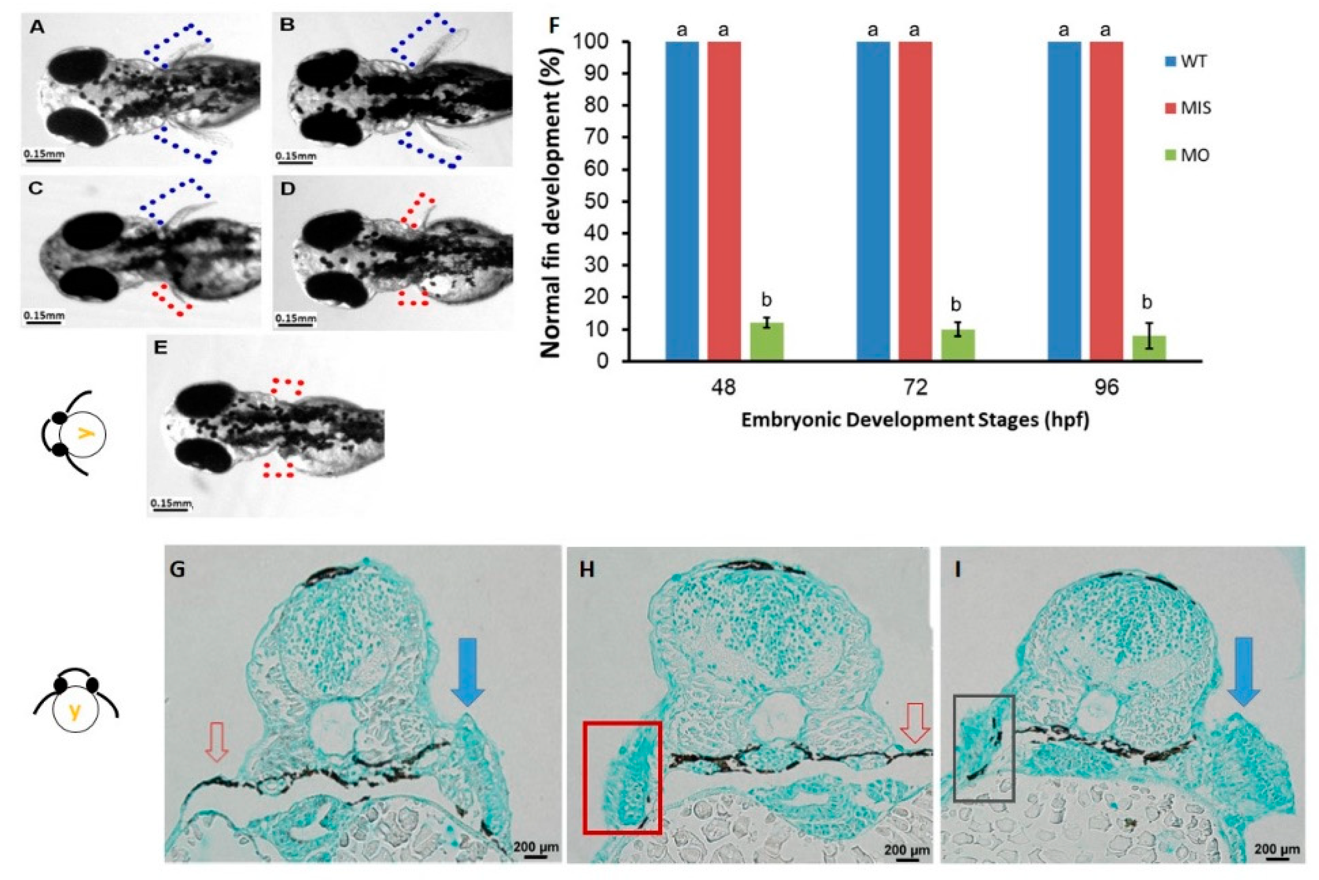 Jdb 07 00015 g001 Jdb 07 00015 g001