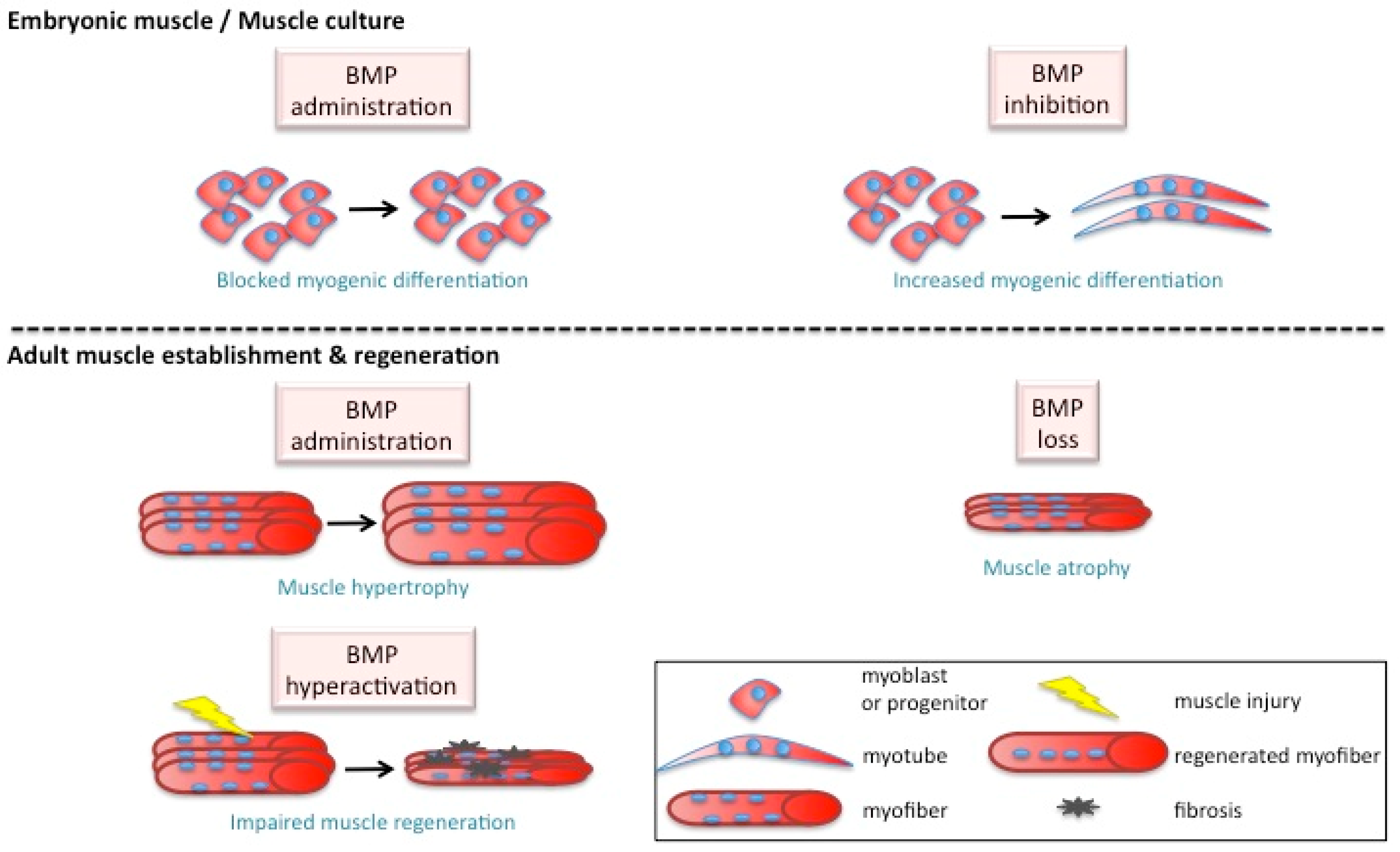 Jdb 08 00004 g002 Jdb 08 00004 g002