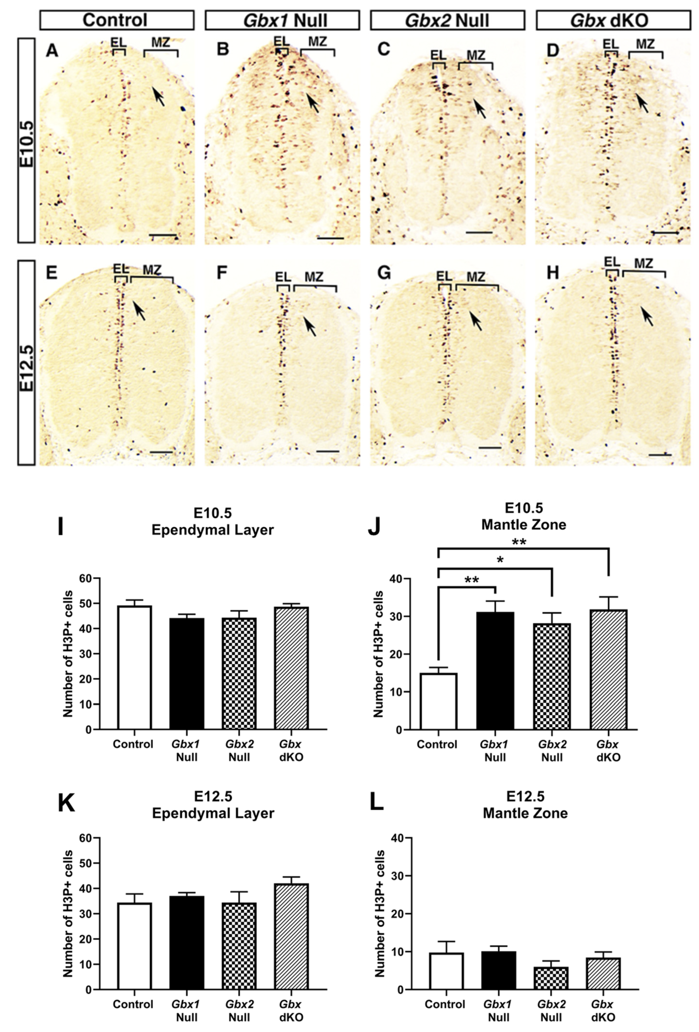 Jdb 08 00009 g002 Jdb 08 00009 g002