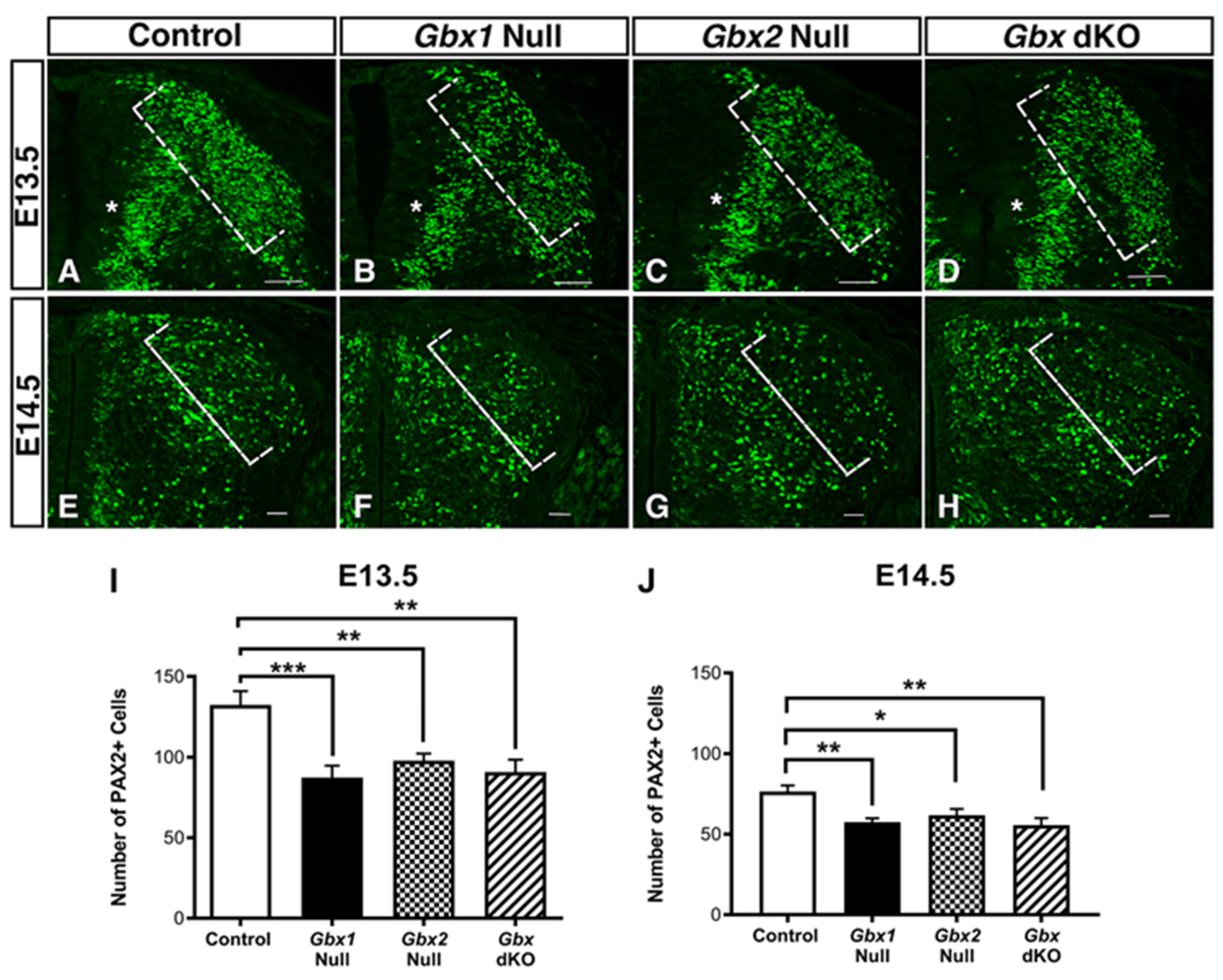 Jdb 08 00009 g003 Jdb 08 00009 g003