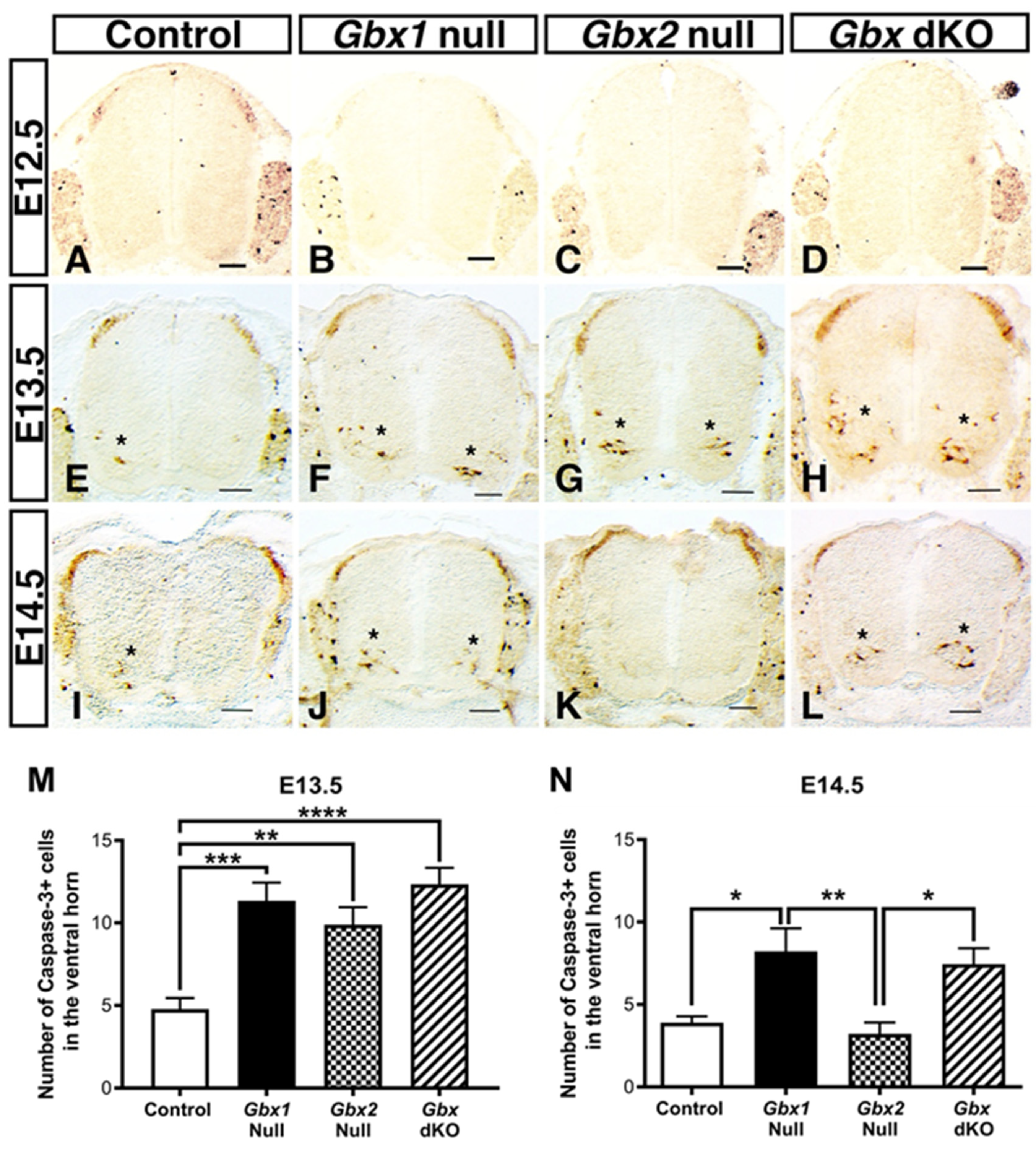 Jdb 08 00009 g004 Jdb 08 00009 g004