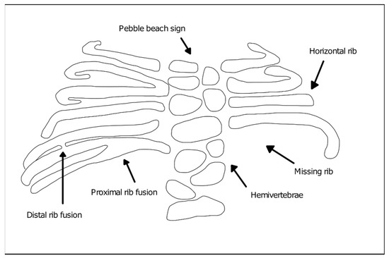 Jdb 09 00005 g001 550
