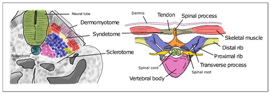 Jdb 09 00005 g005 550
