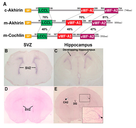 あう Colorimetric and ultrasensitive detection of H2O2 based on