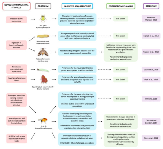 what role does dna play in inheritance