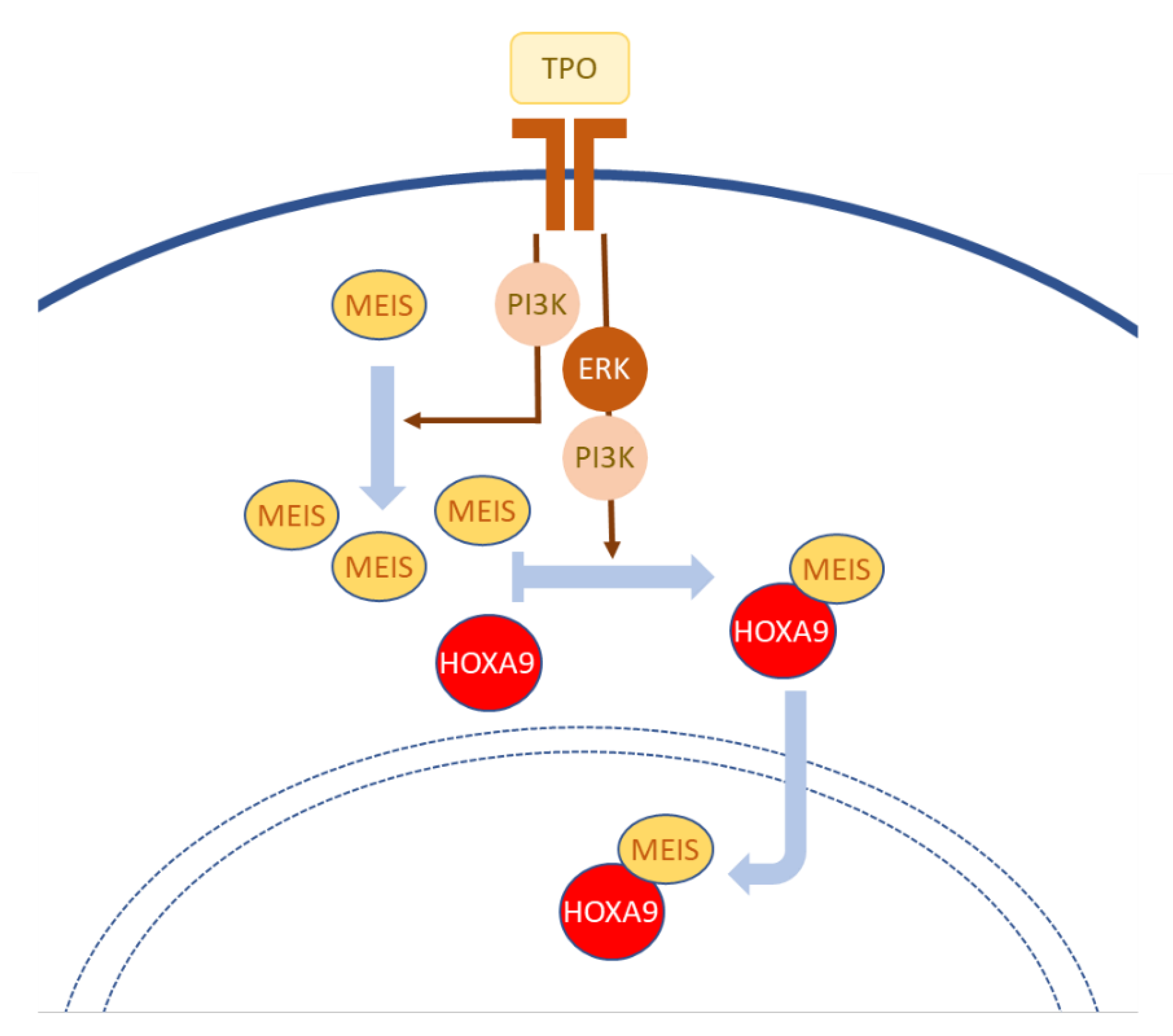 Jdb 09 00056 g001 550