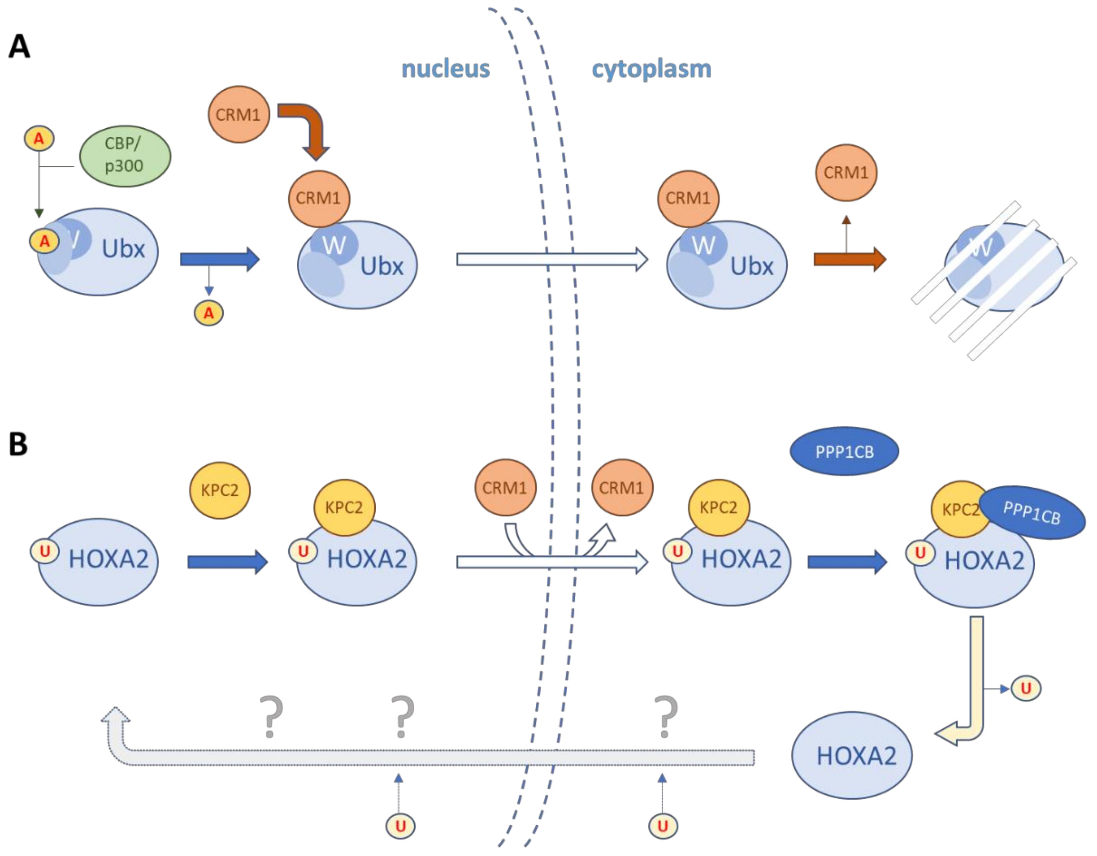 Jdb 09 00056 g002 550