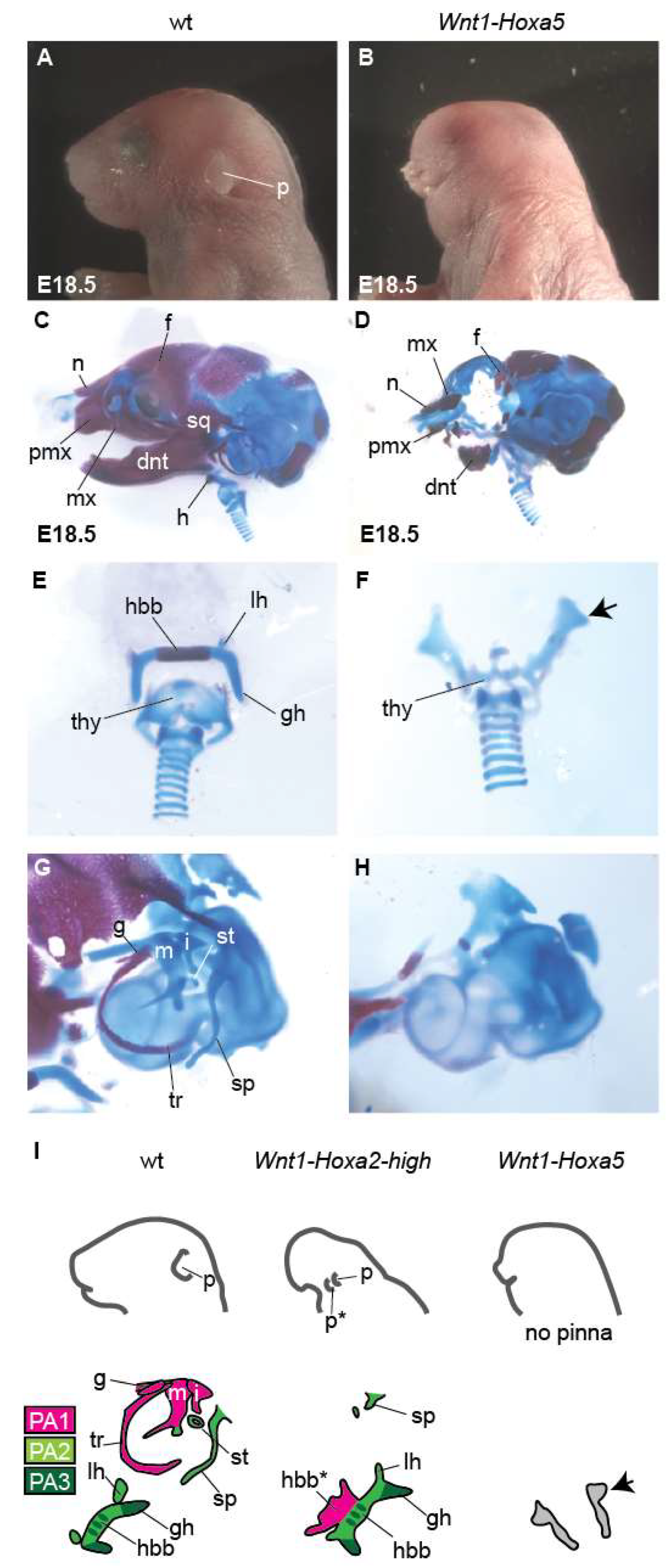 Jdb 10 00009 g003 550