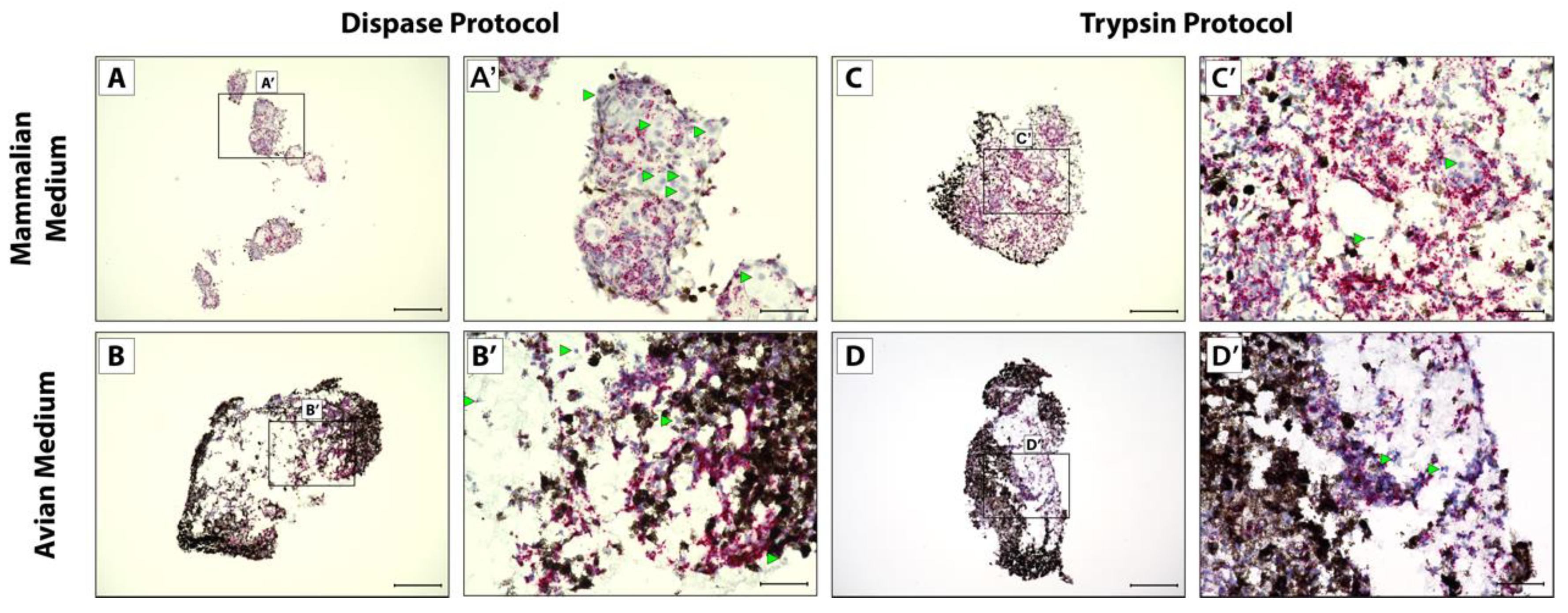 Jdb 10 00012 g002 550