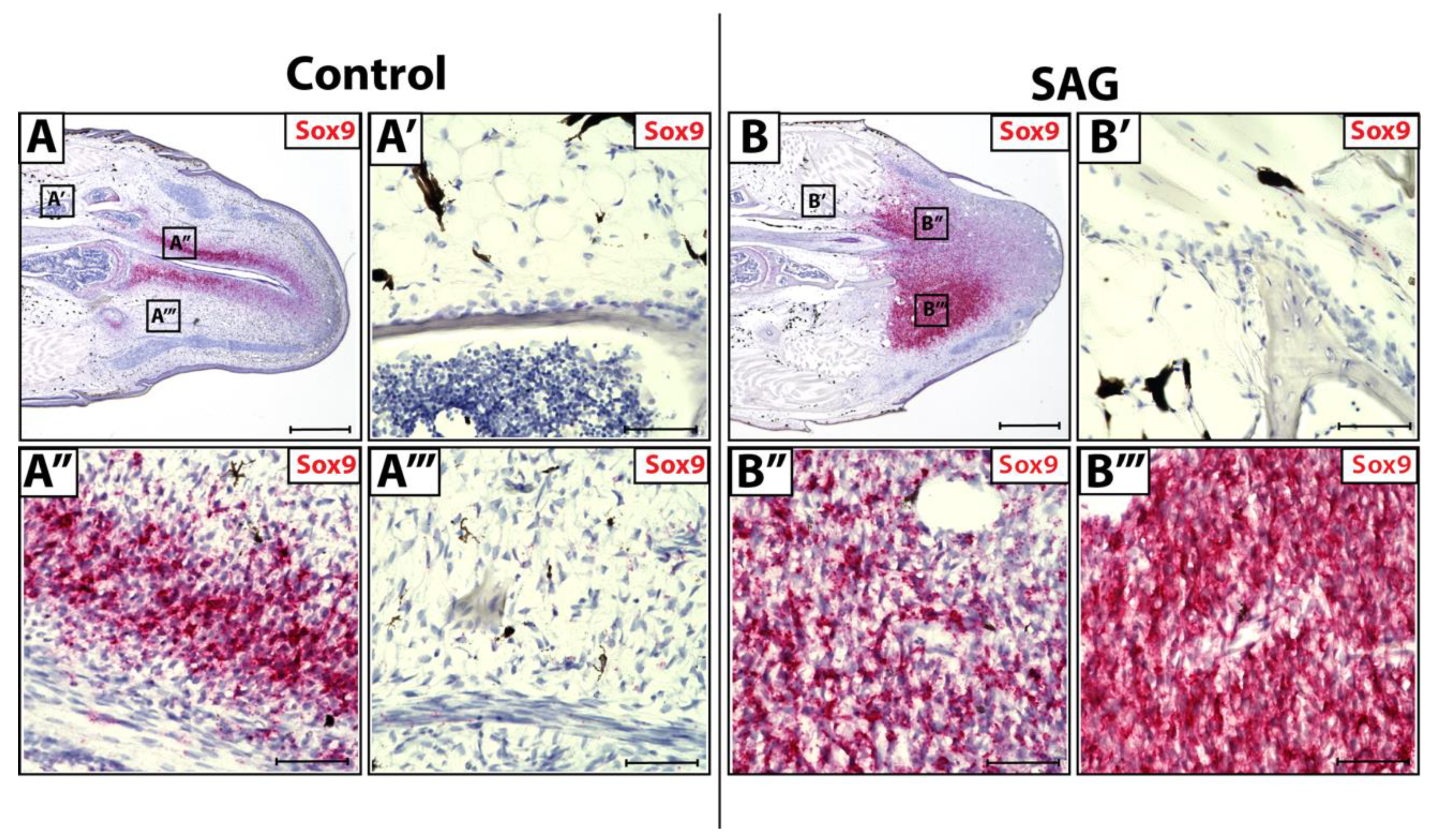 Jdb 10 00012 g003 550