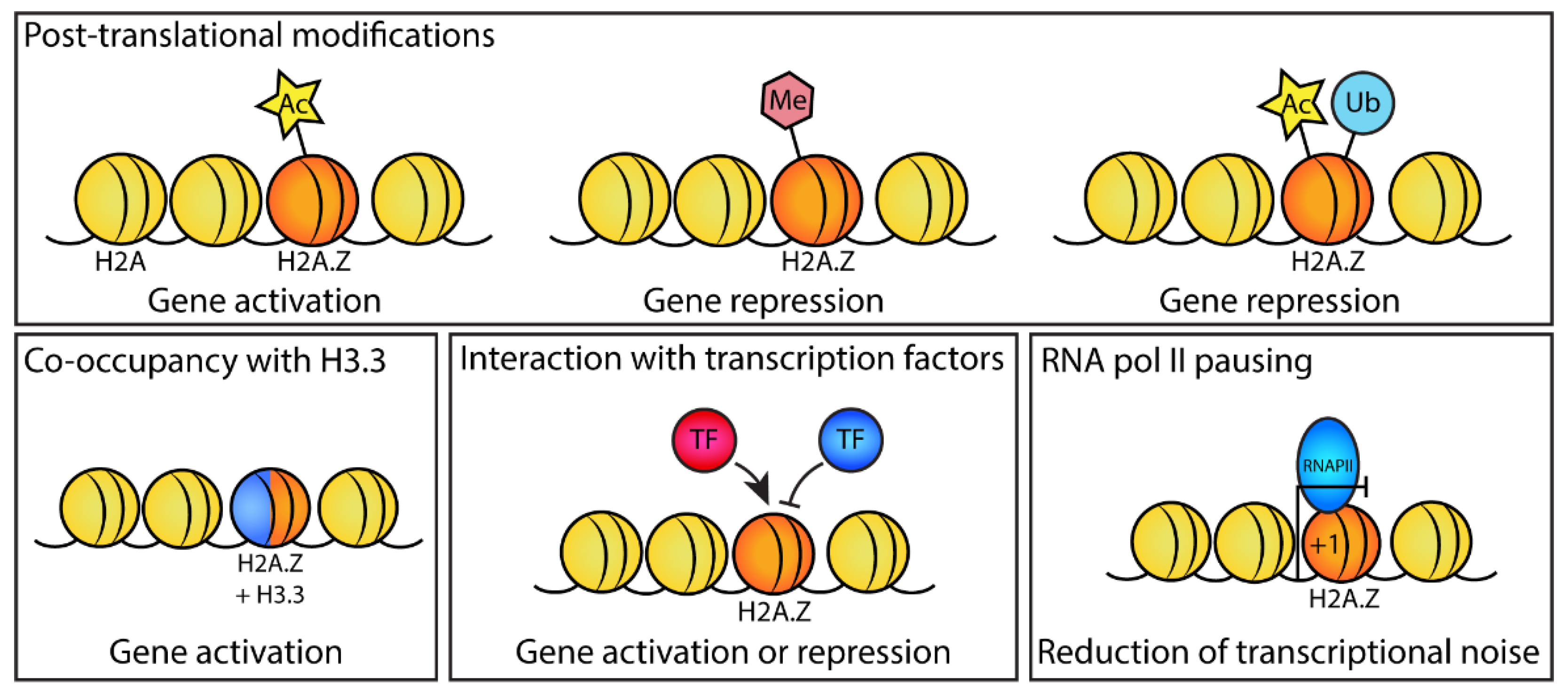Jdb 10 00028 g002 Jdb 10 00028 g002
