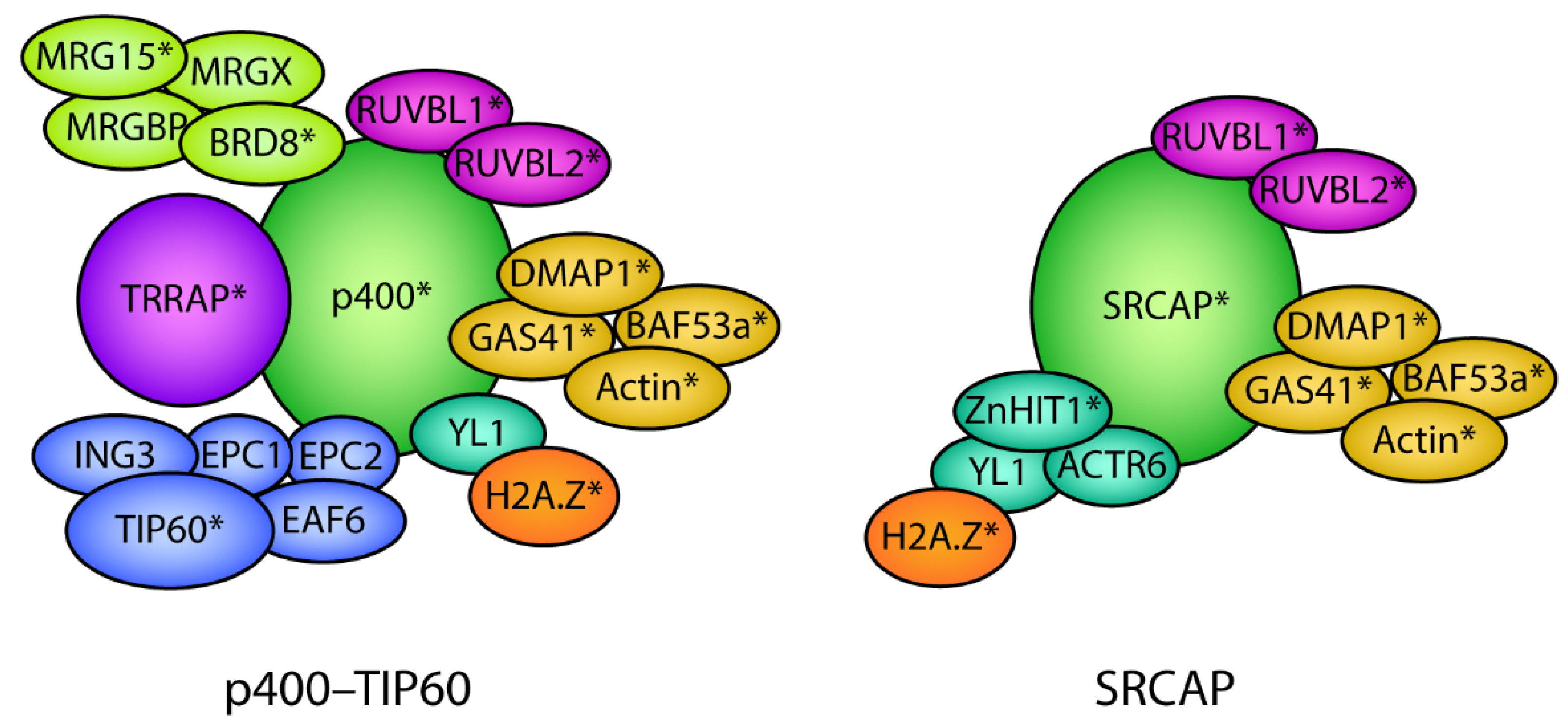 Jdb 10 00028 g004 Jdb 10 00028 g004