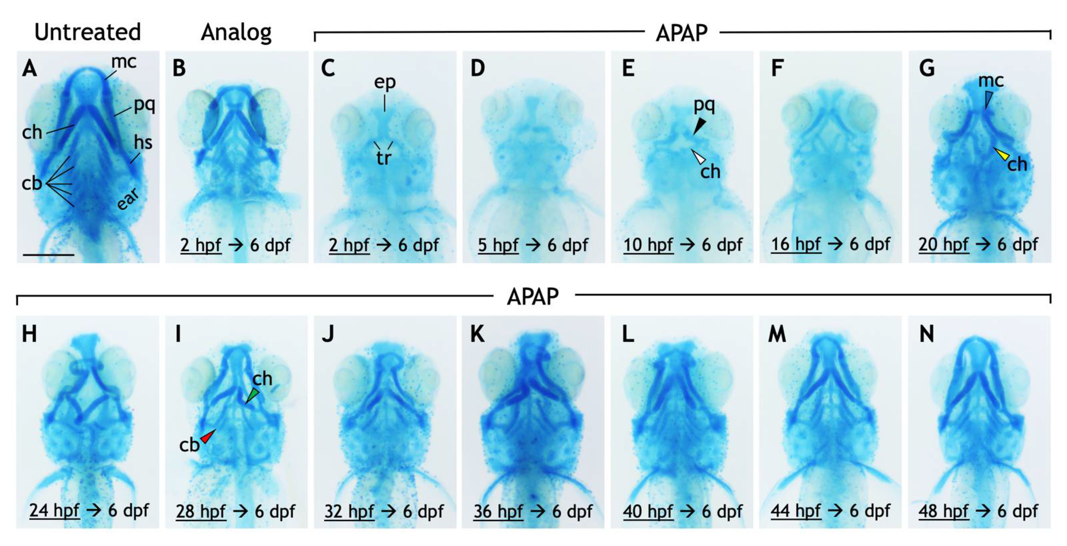 Jdb 10 00030 g002 Jdb 10 00030 g002