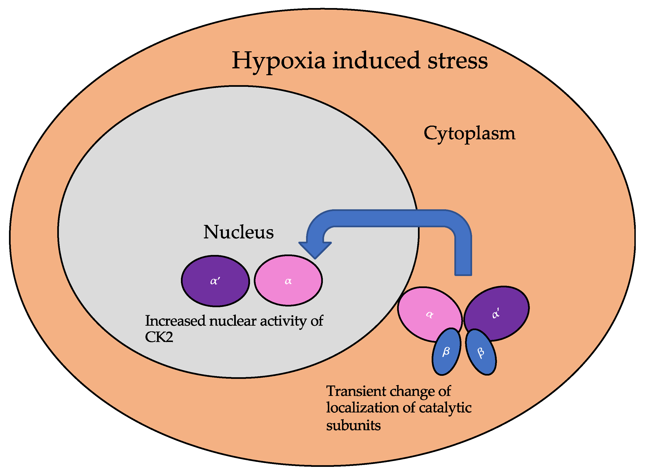 Jdb 10 00031 g004 Jdb 10 00031 g004