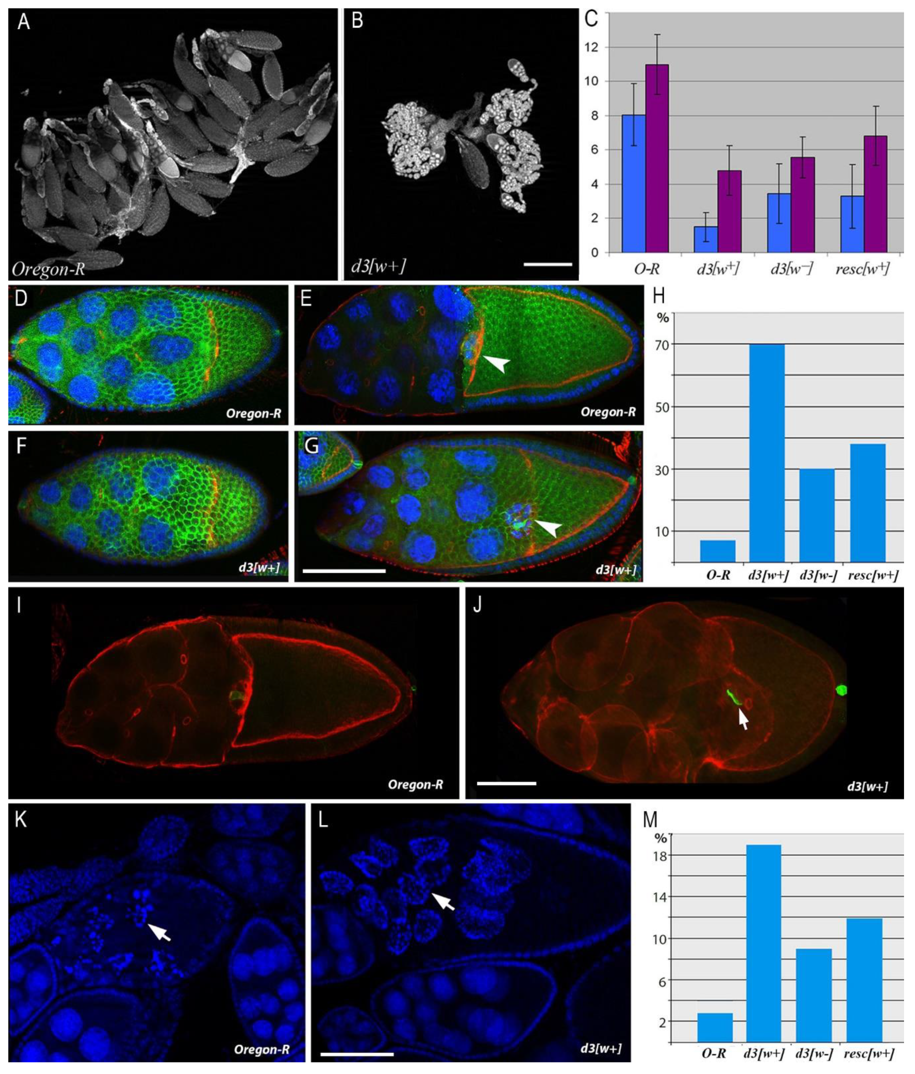 Jdb 10 00032 g002 550