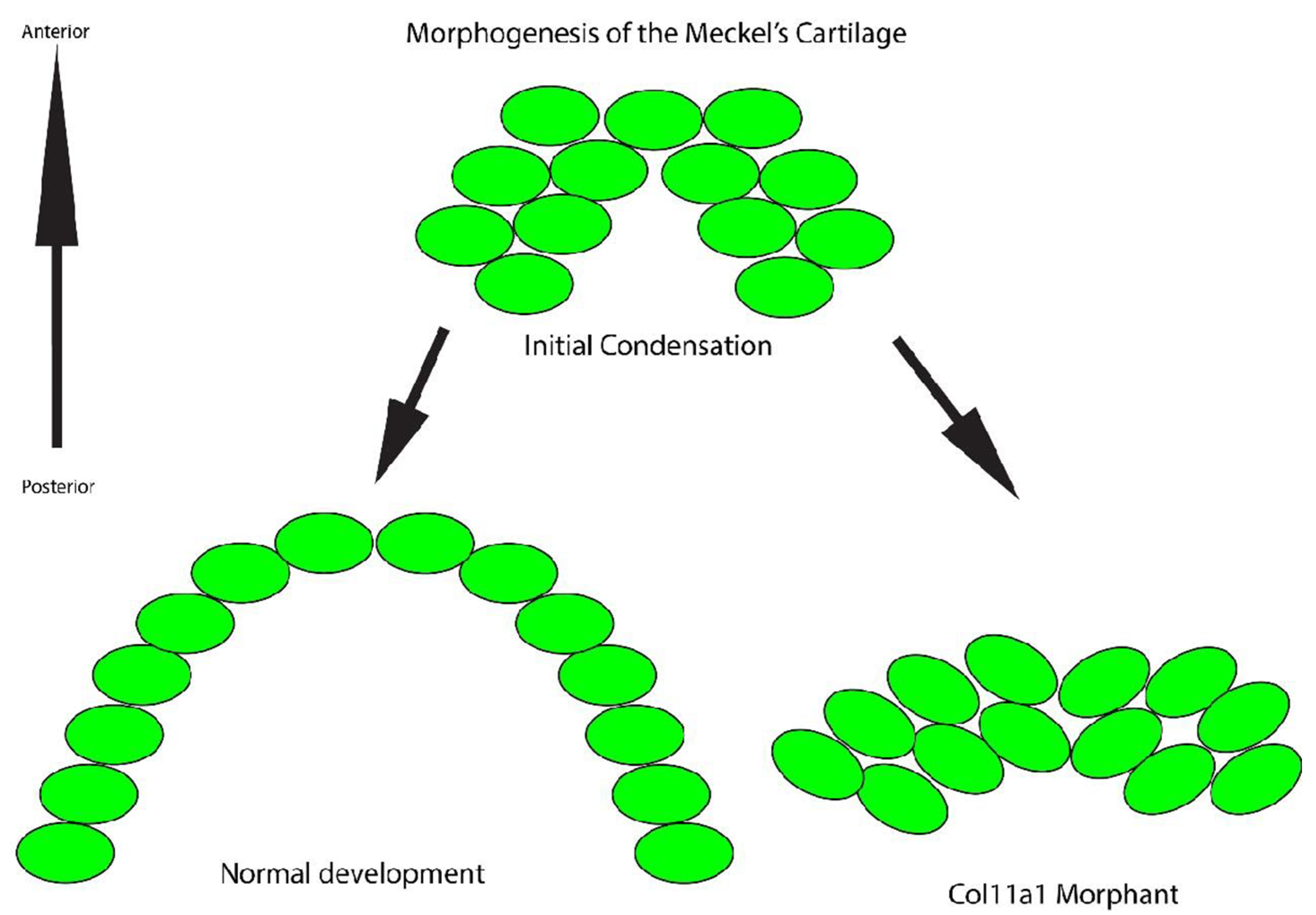 Jdb 10 00040 g005 550