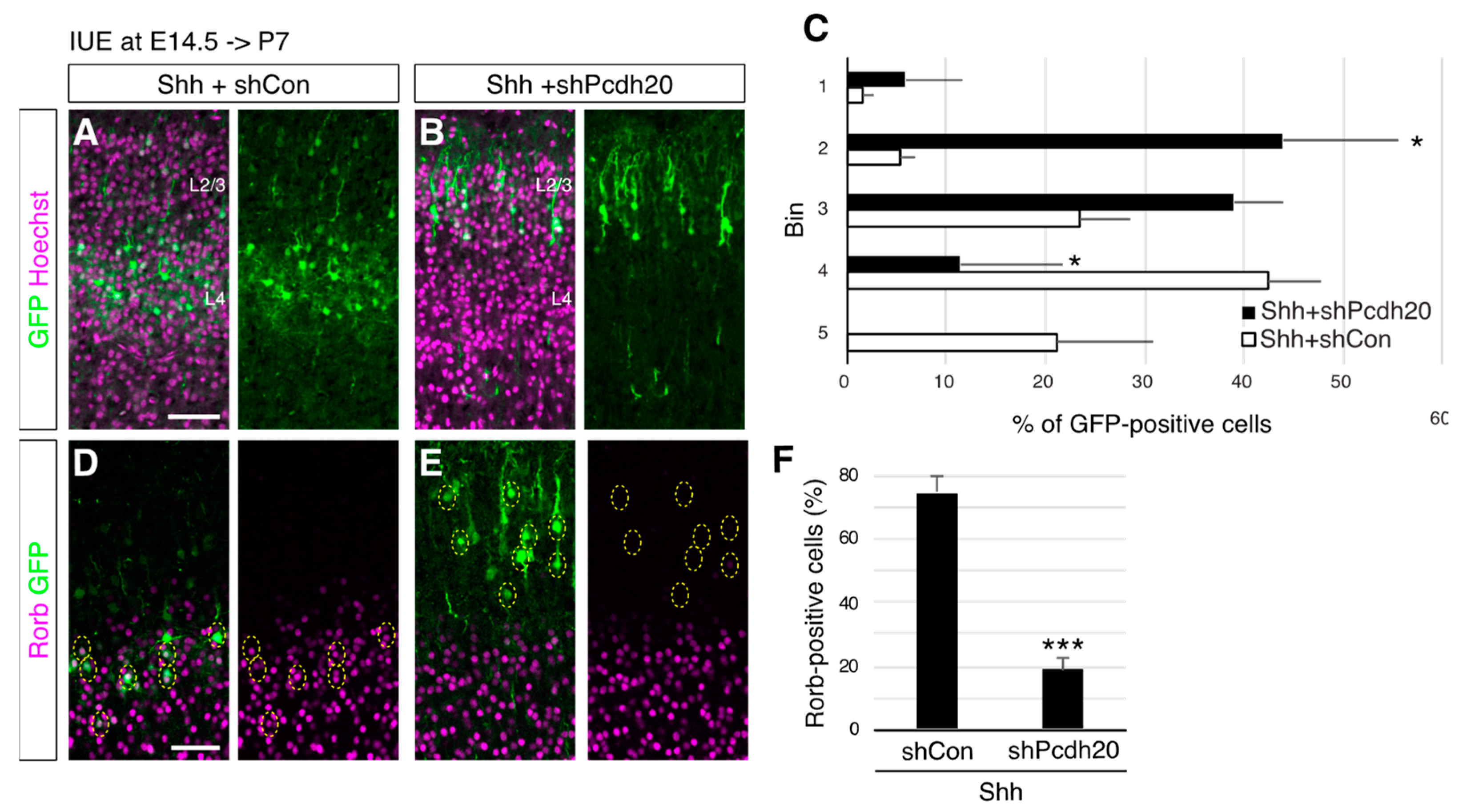 Jdb 10 00050 g005 Jdb 10 00050 g005