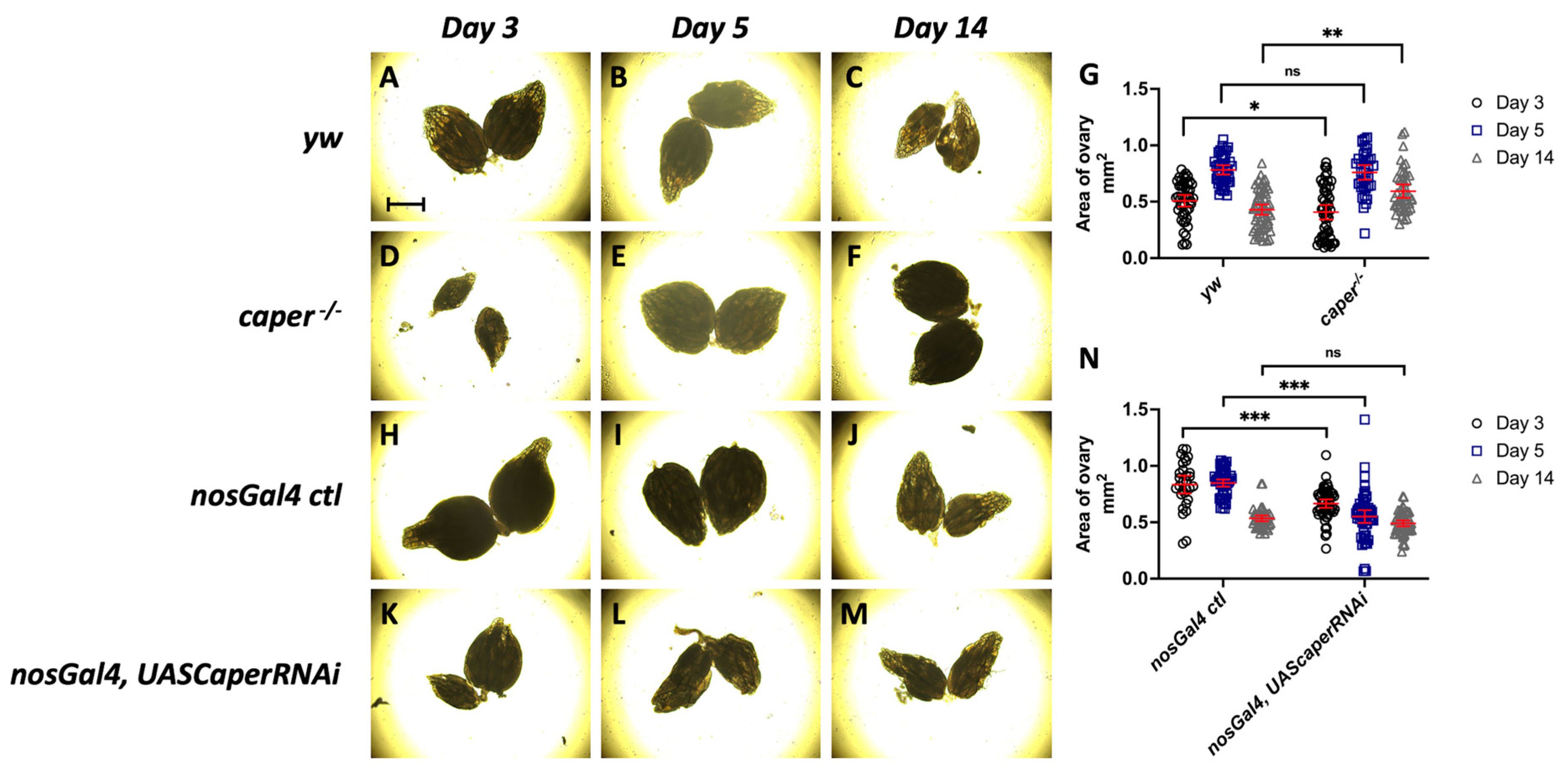 Jdb 11 00002 g004 Jdb 11 00002 g004