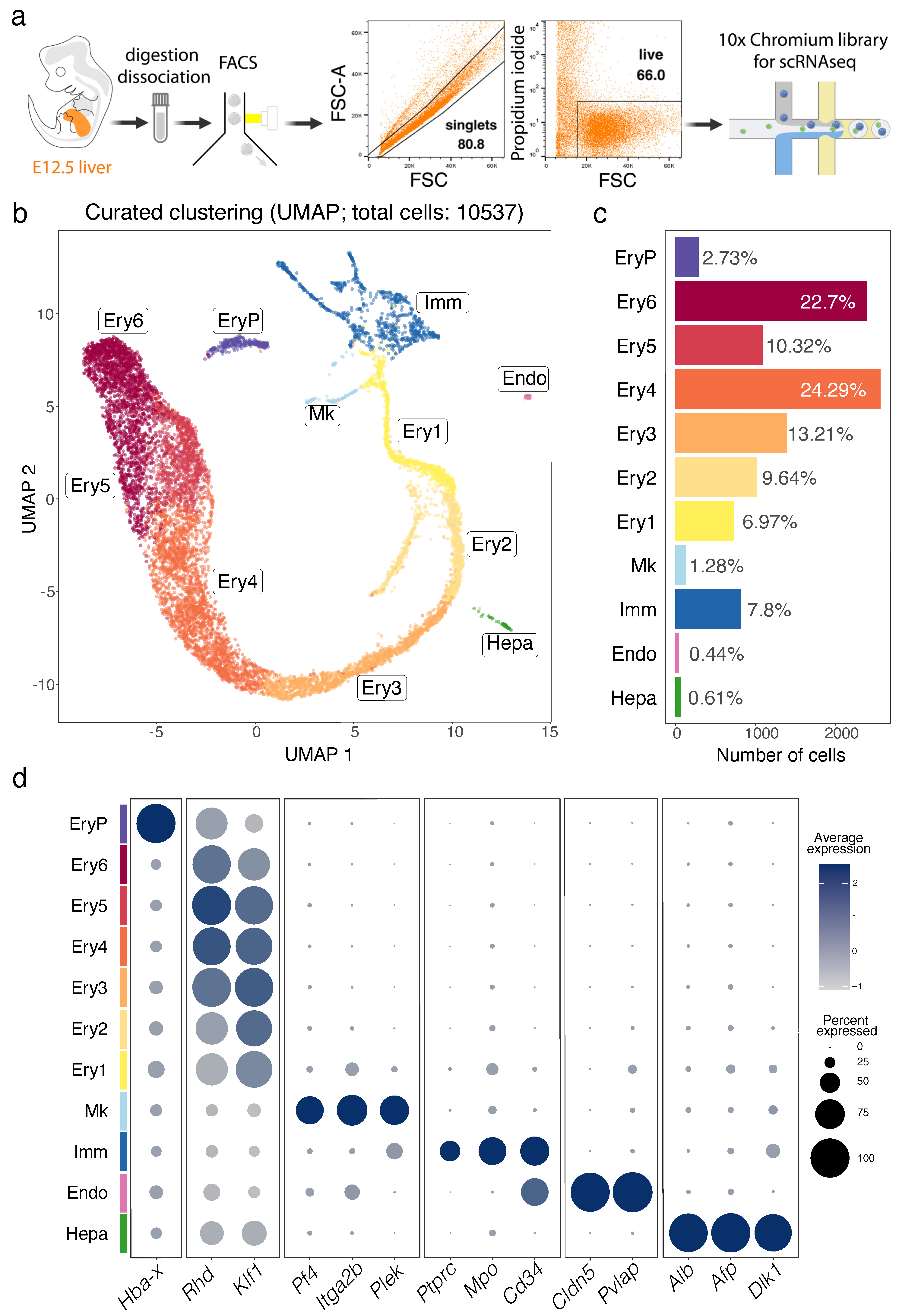 Jdb 11 00015 g001 Jdb 11 00015 g001